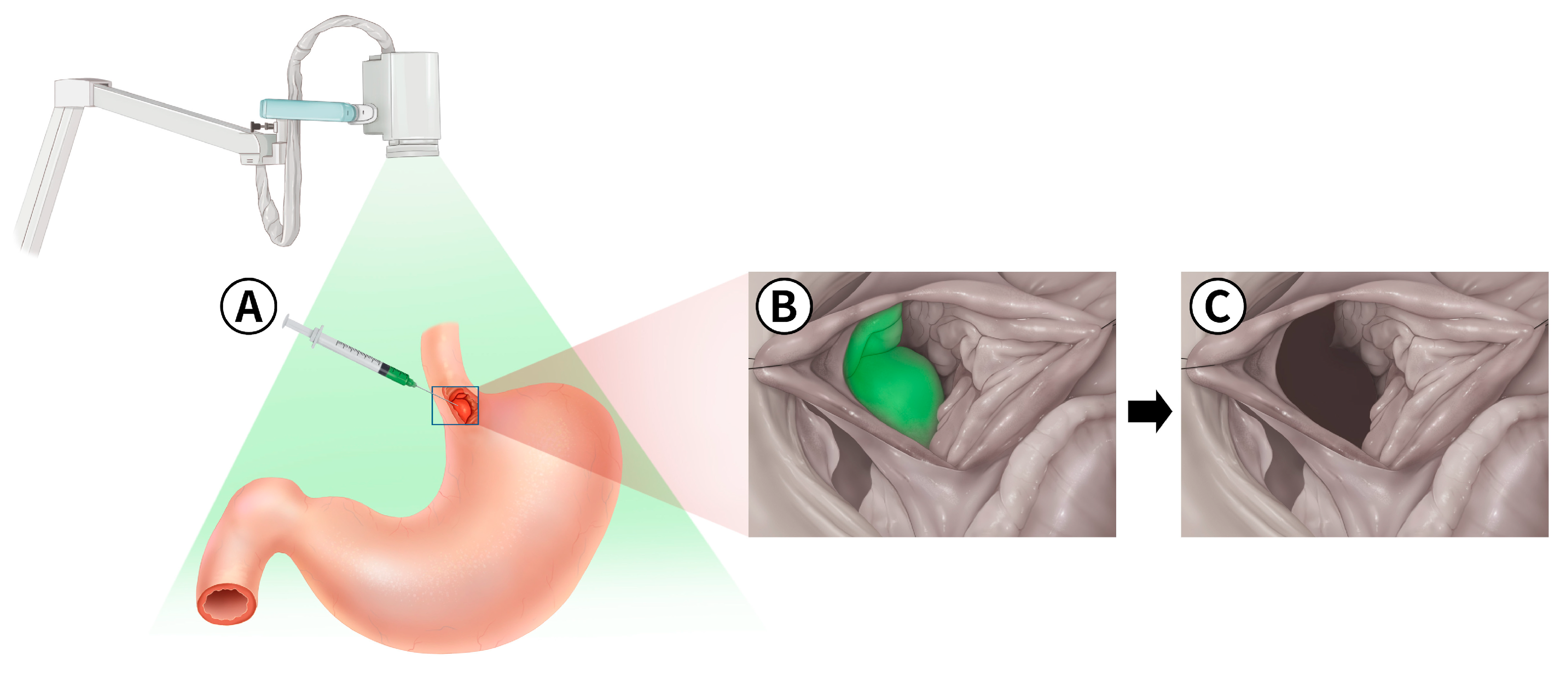 Animals 14 02917 g003