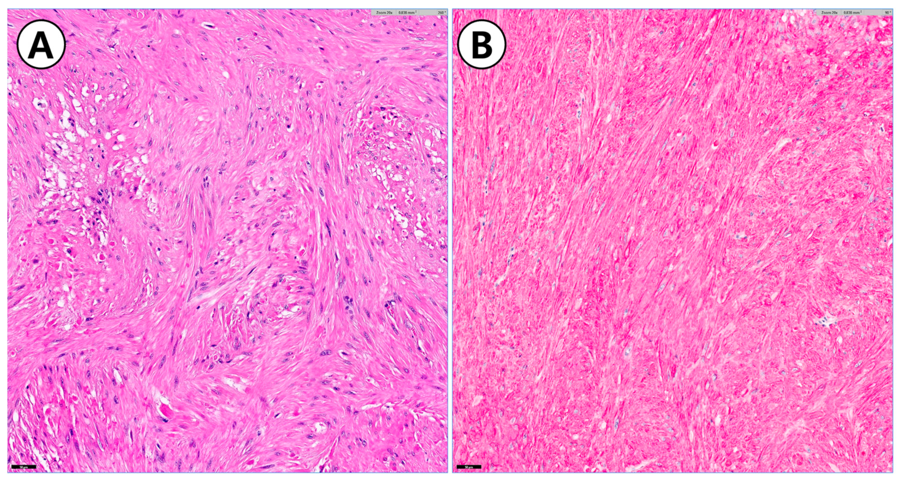 Animals 14 02917 g006