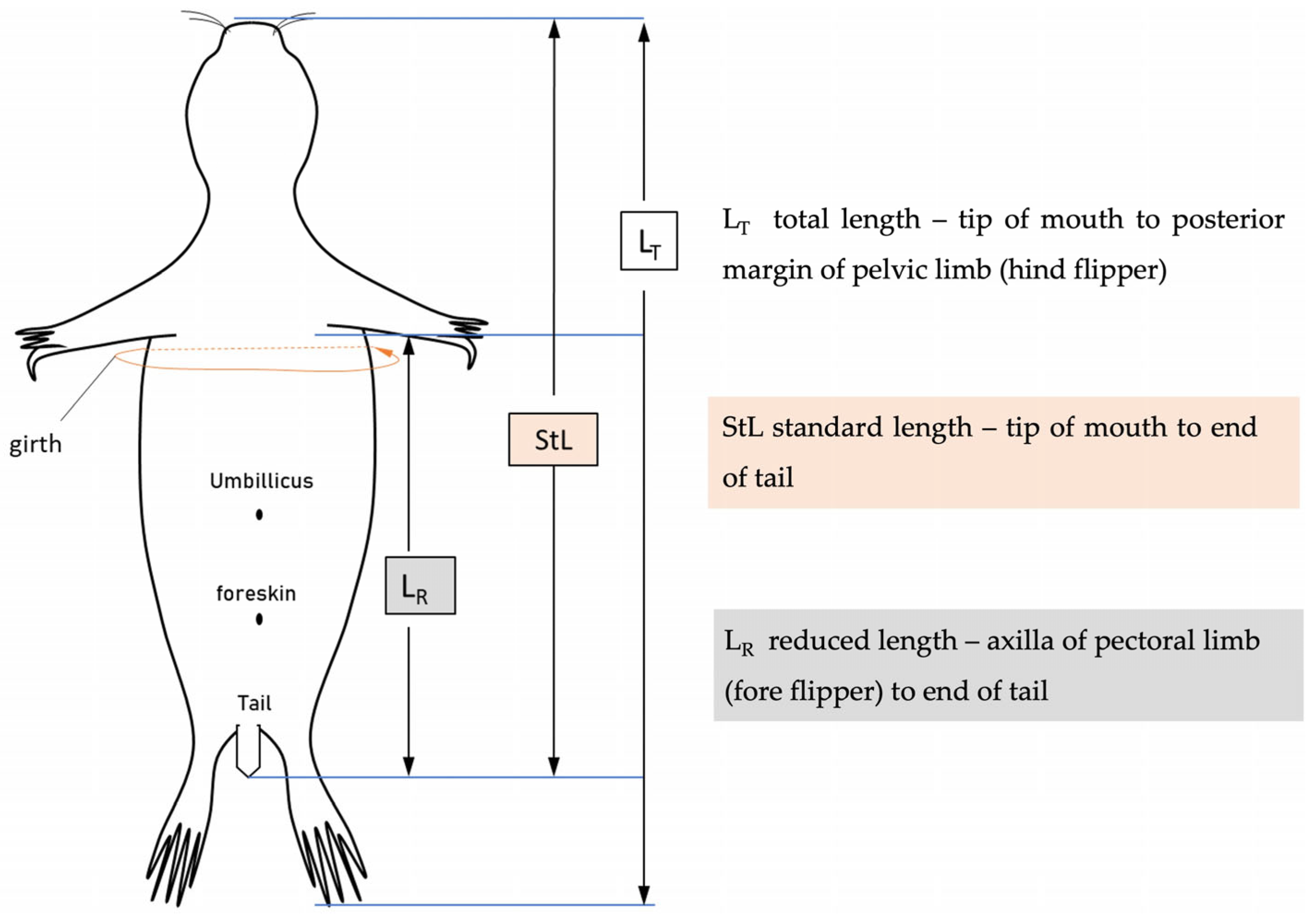 Animals 14 02920 g002