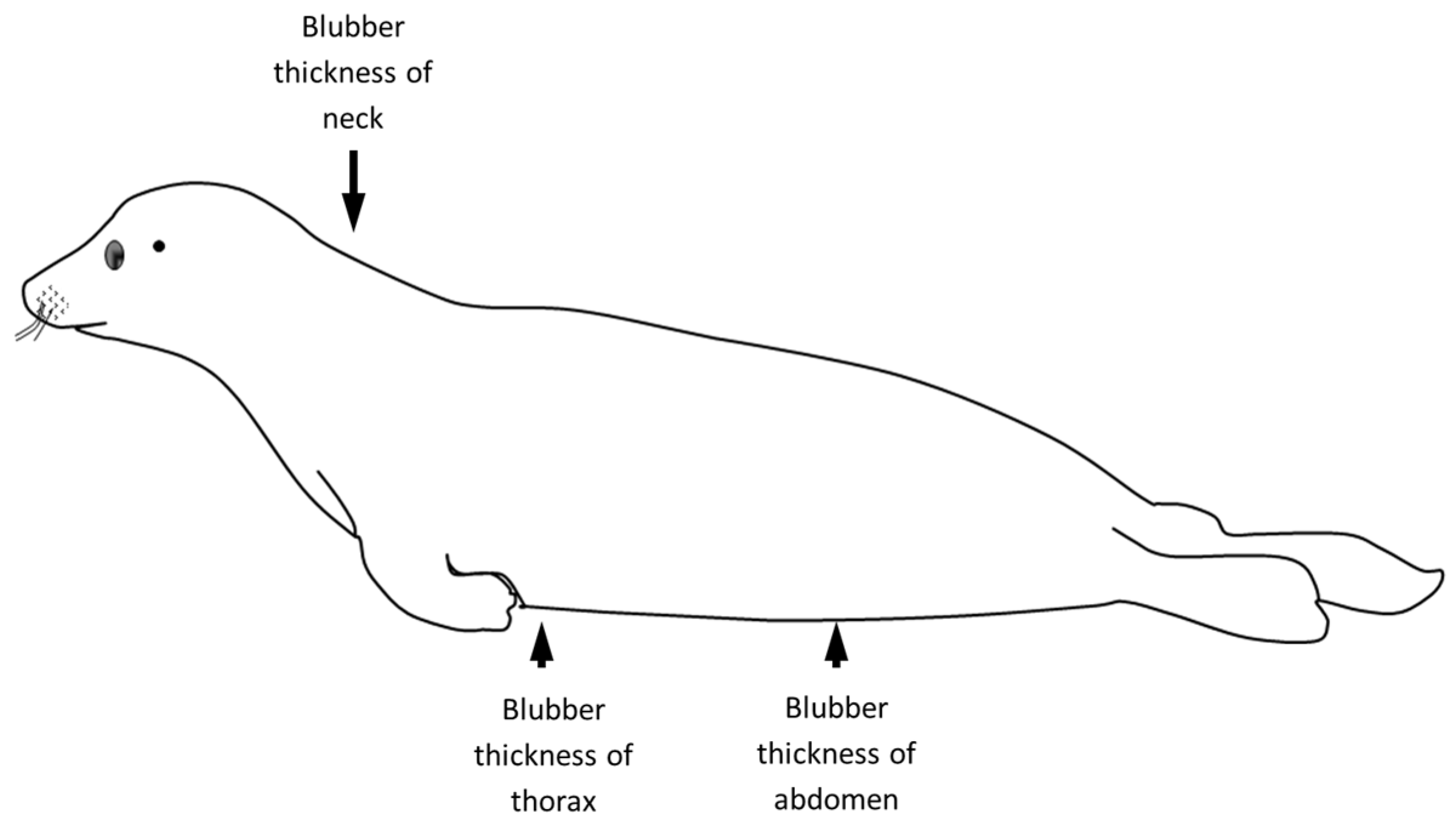 Animals 14 02920 g003