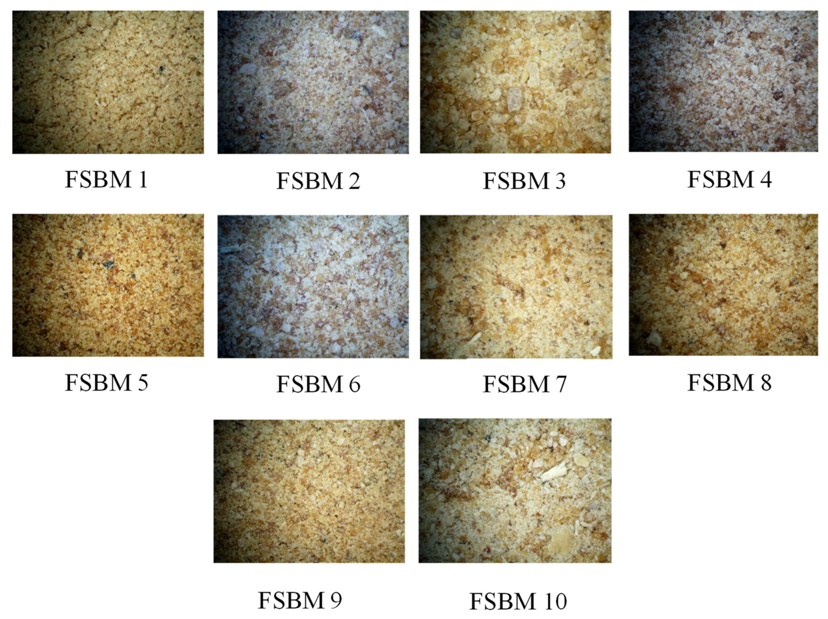 Animals 14 02945 g001