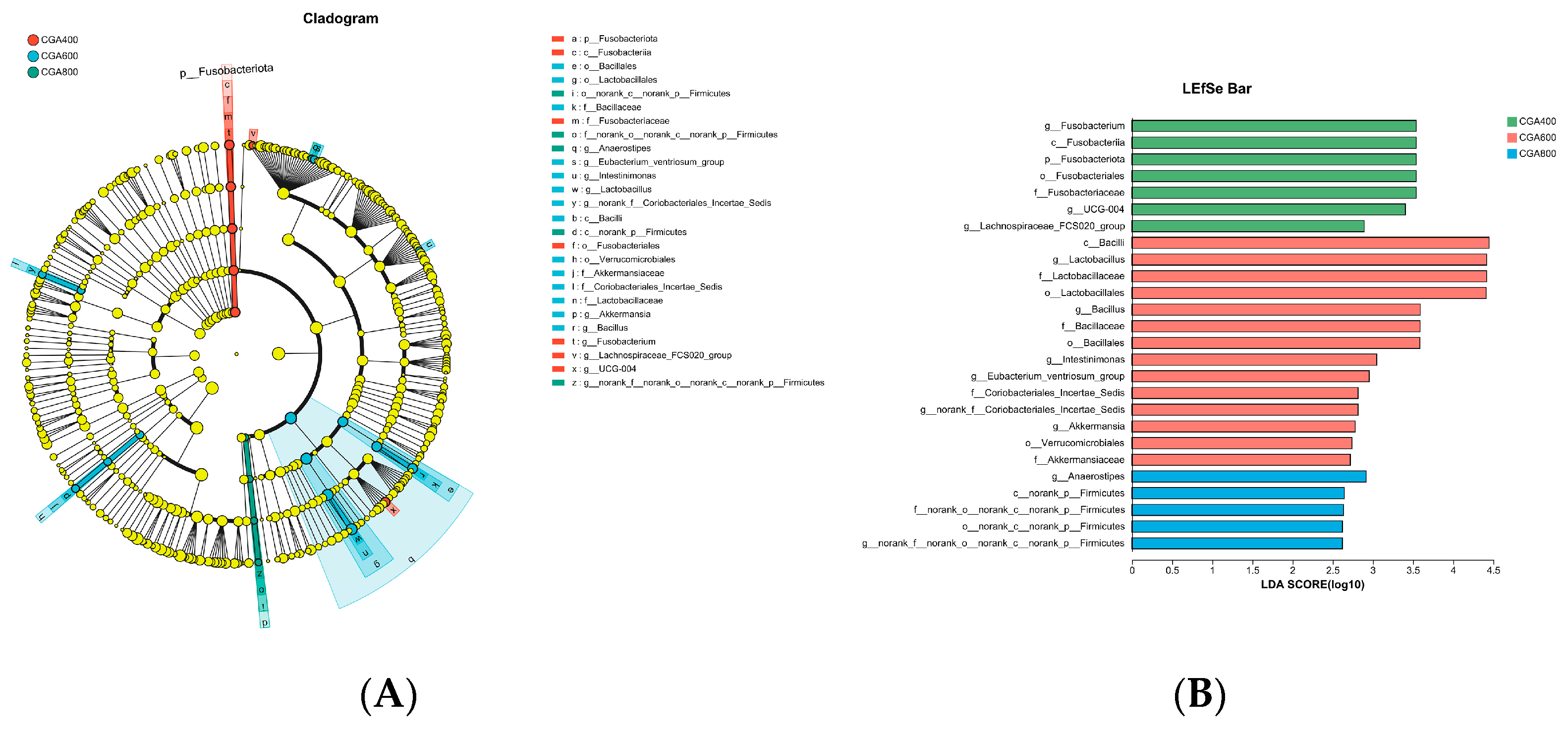 Animals 14 02957 g009