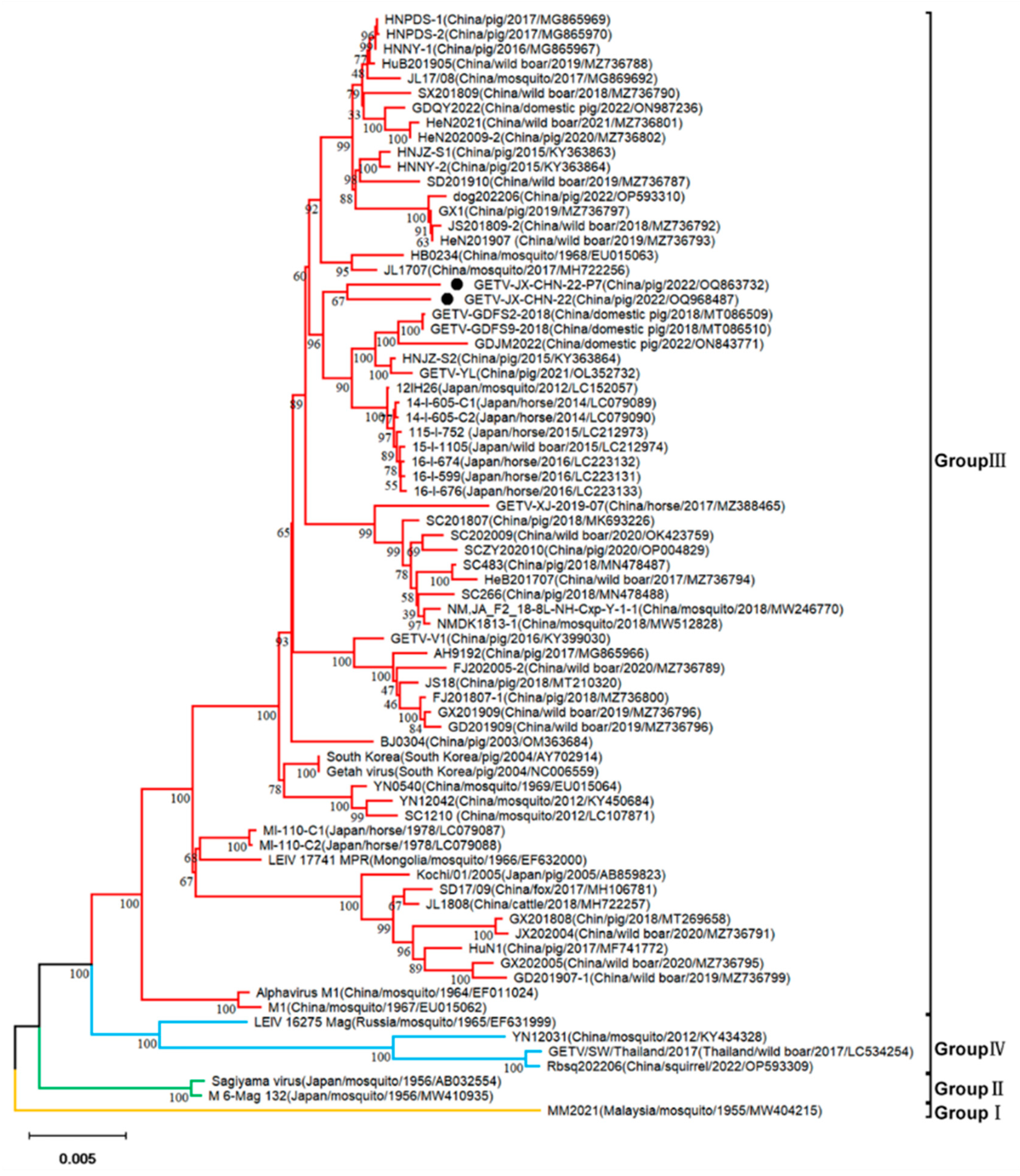 Animals 14 02980 g002