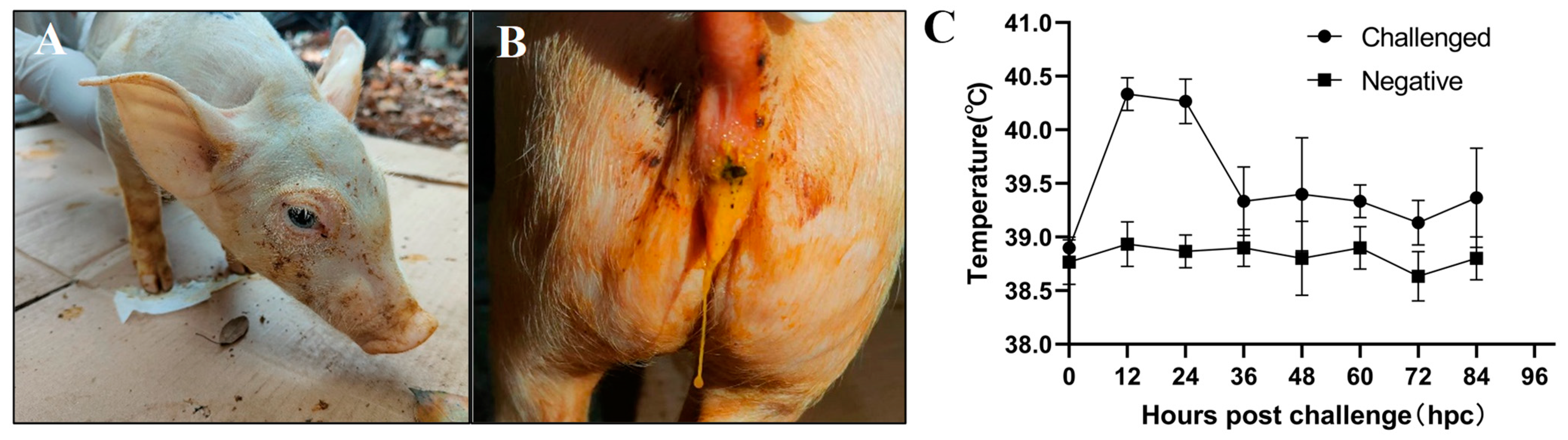 Animals 14 02980 g003