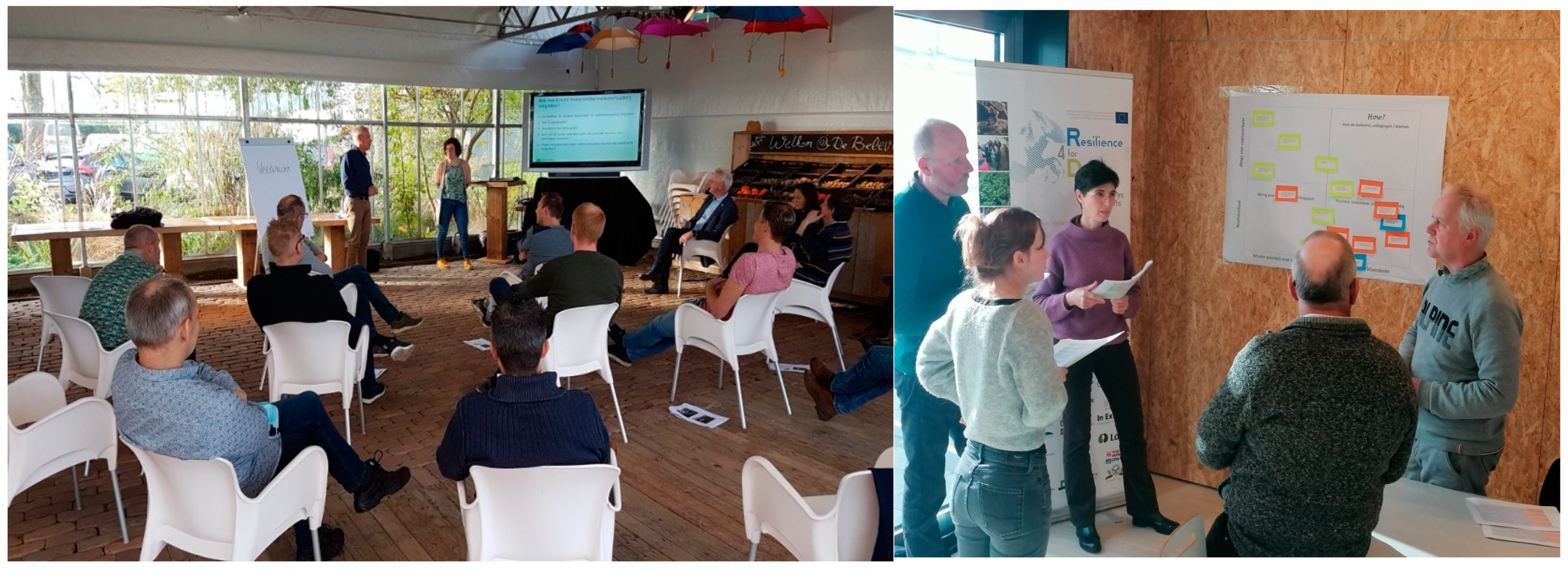 Animals 14 02991 g006