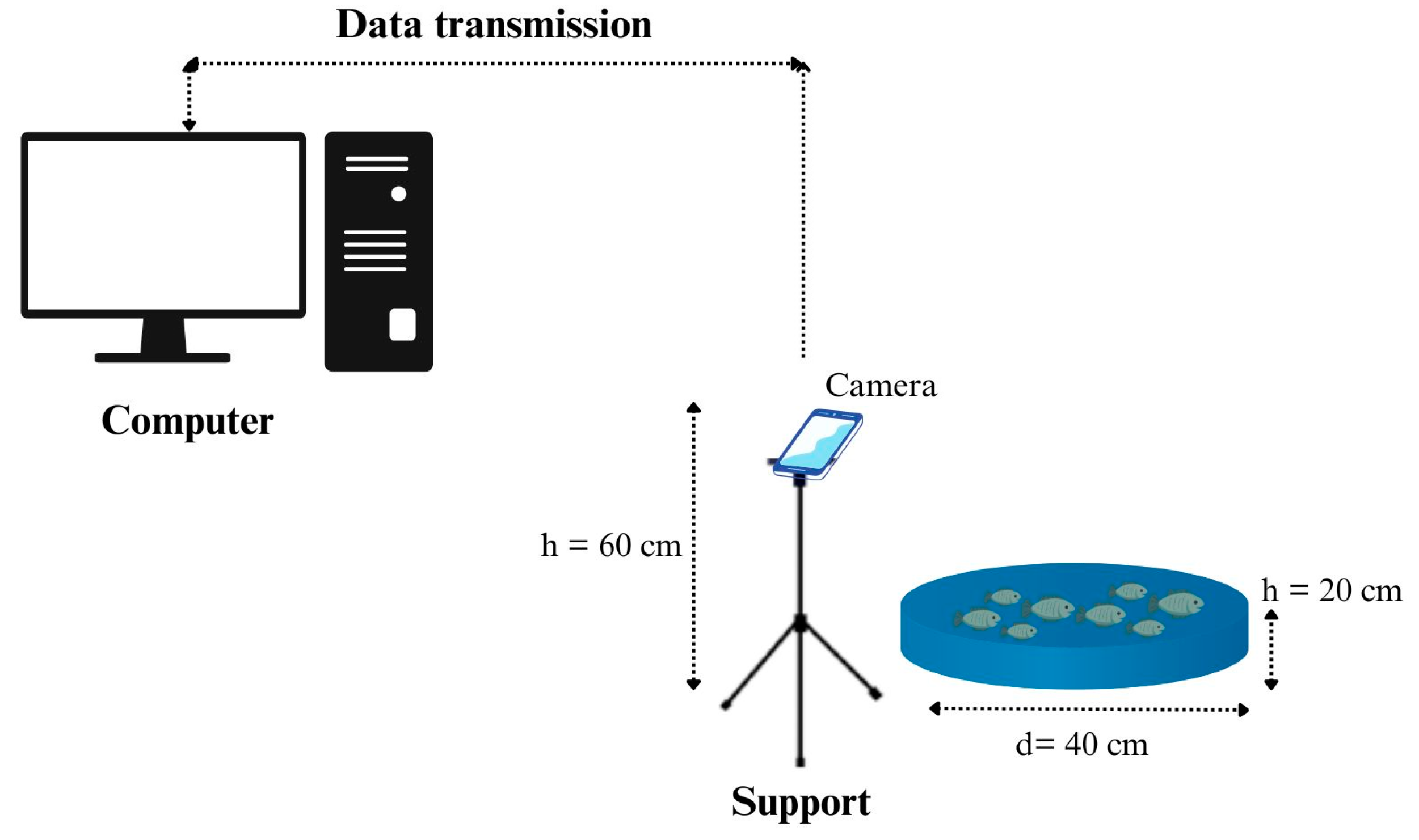 Animals 14 02999 g001 Animals 14 02999 g001