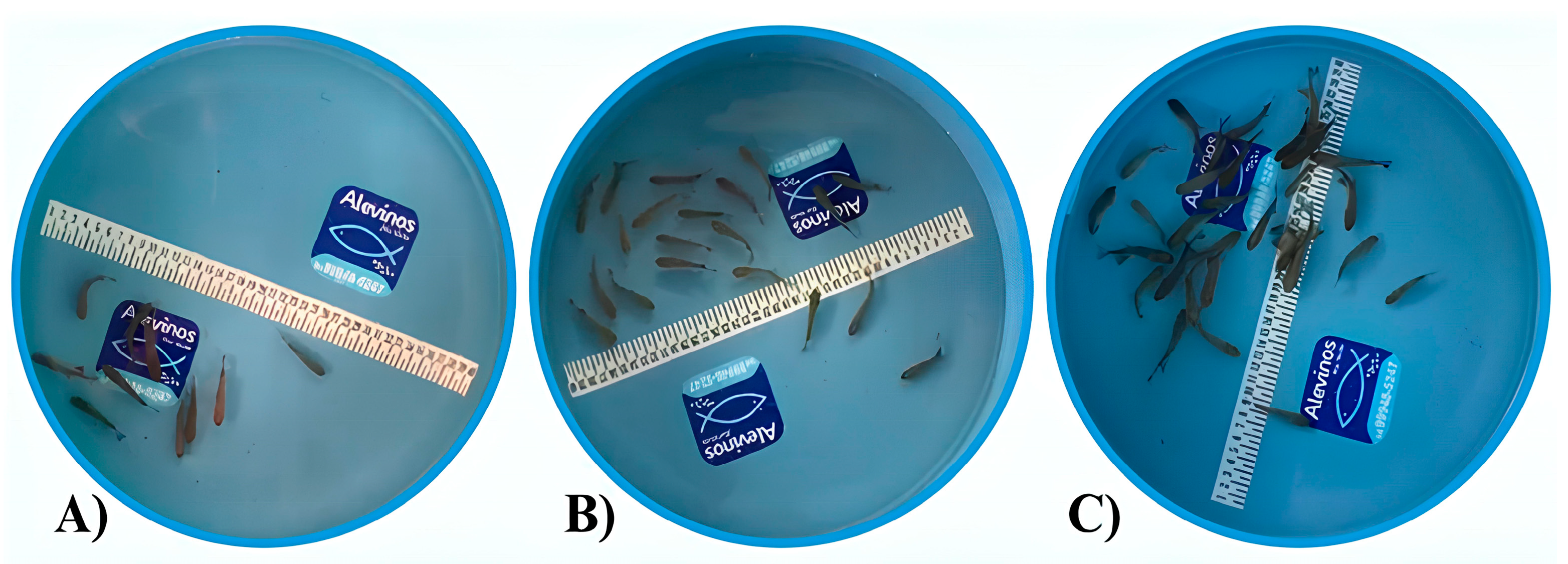 Animals 14 02999 g002 Animals 14 02999 g002