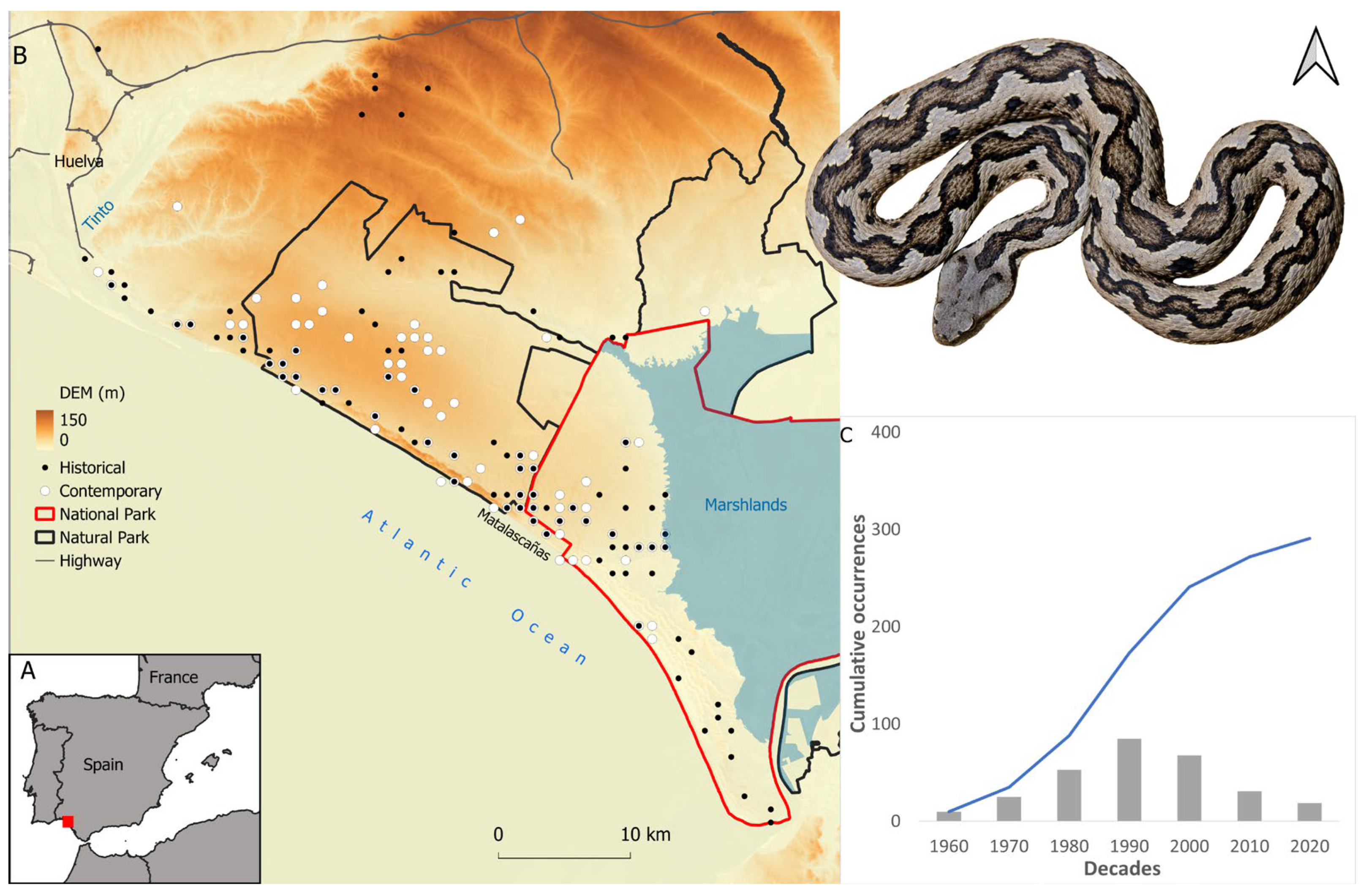 Animals 14 03025 g001