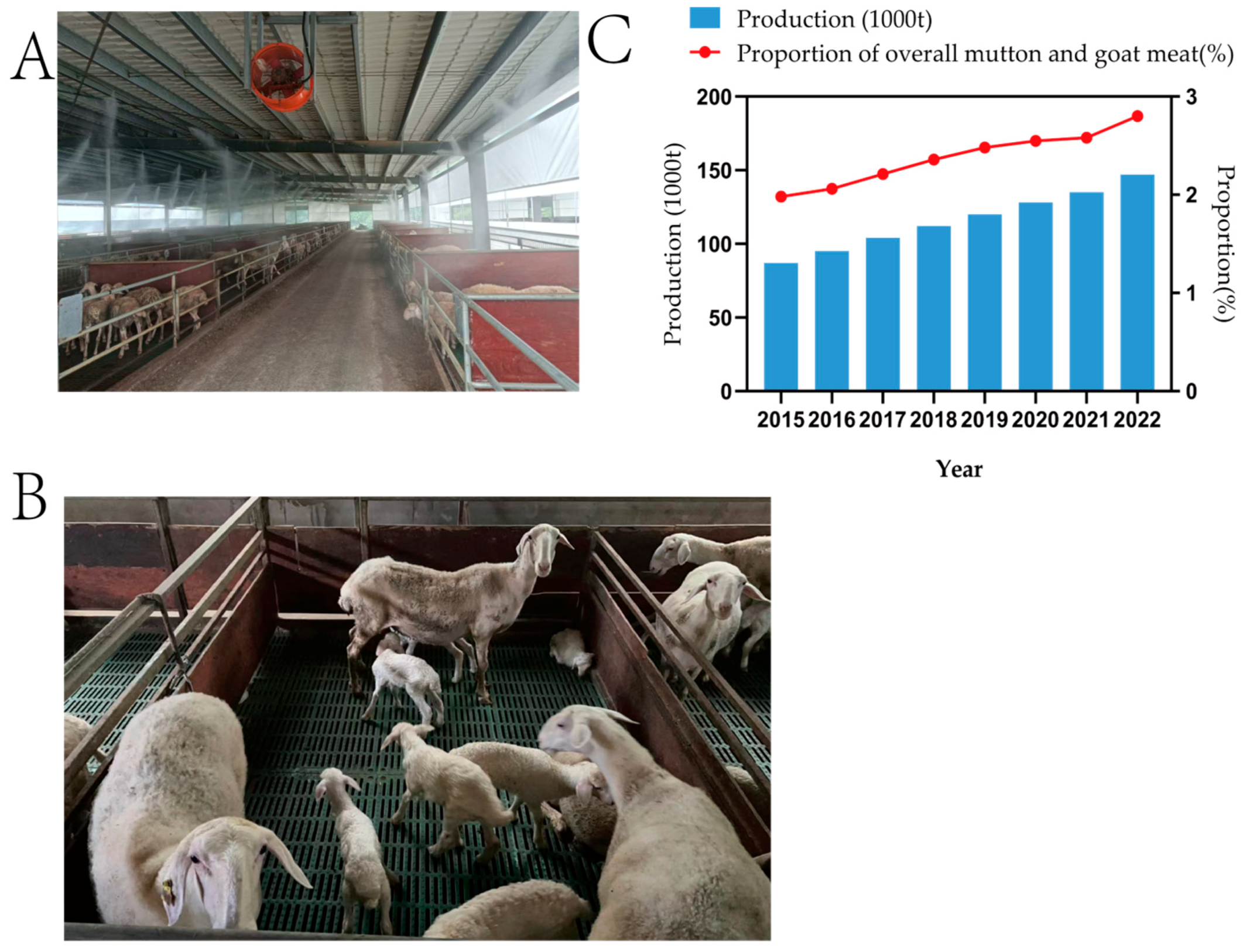 Animals 14 03047 g003