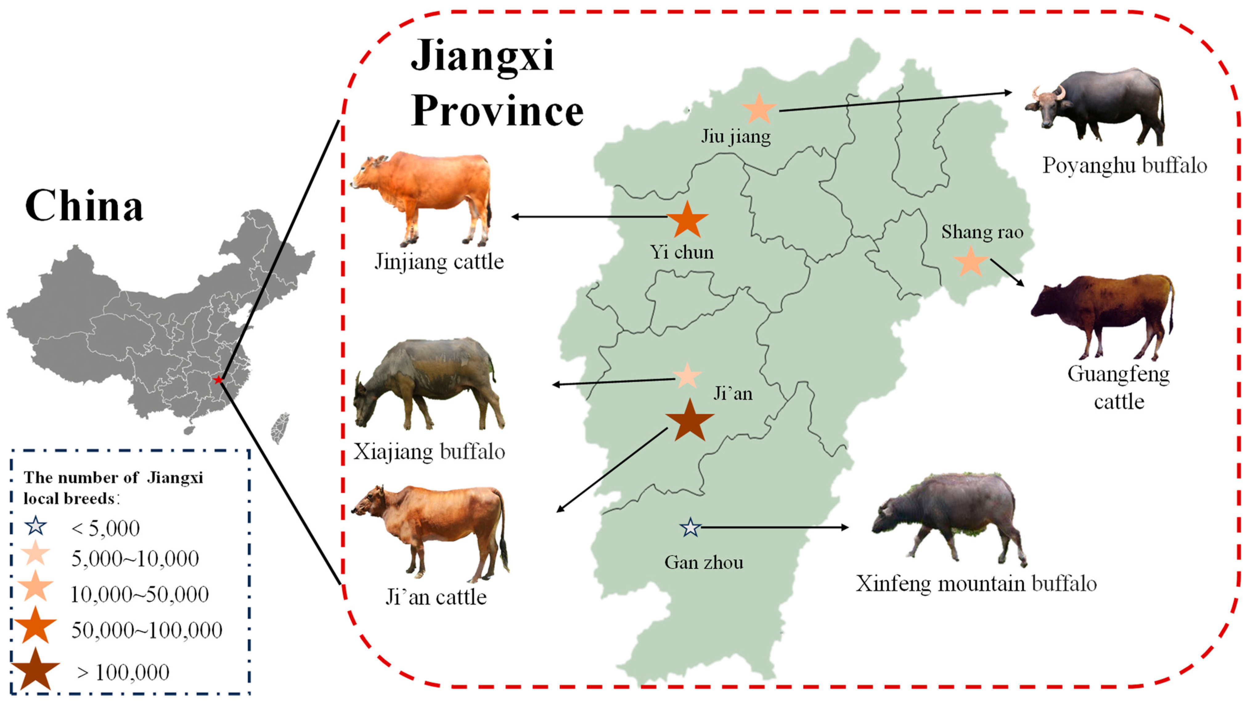 Animals 14 03053 g001