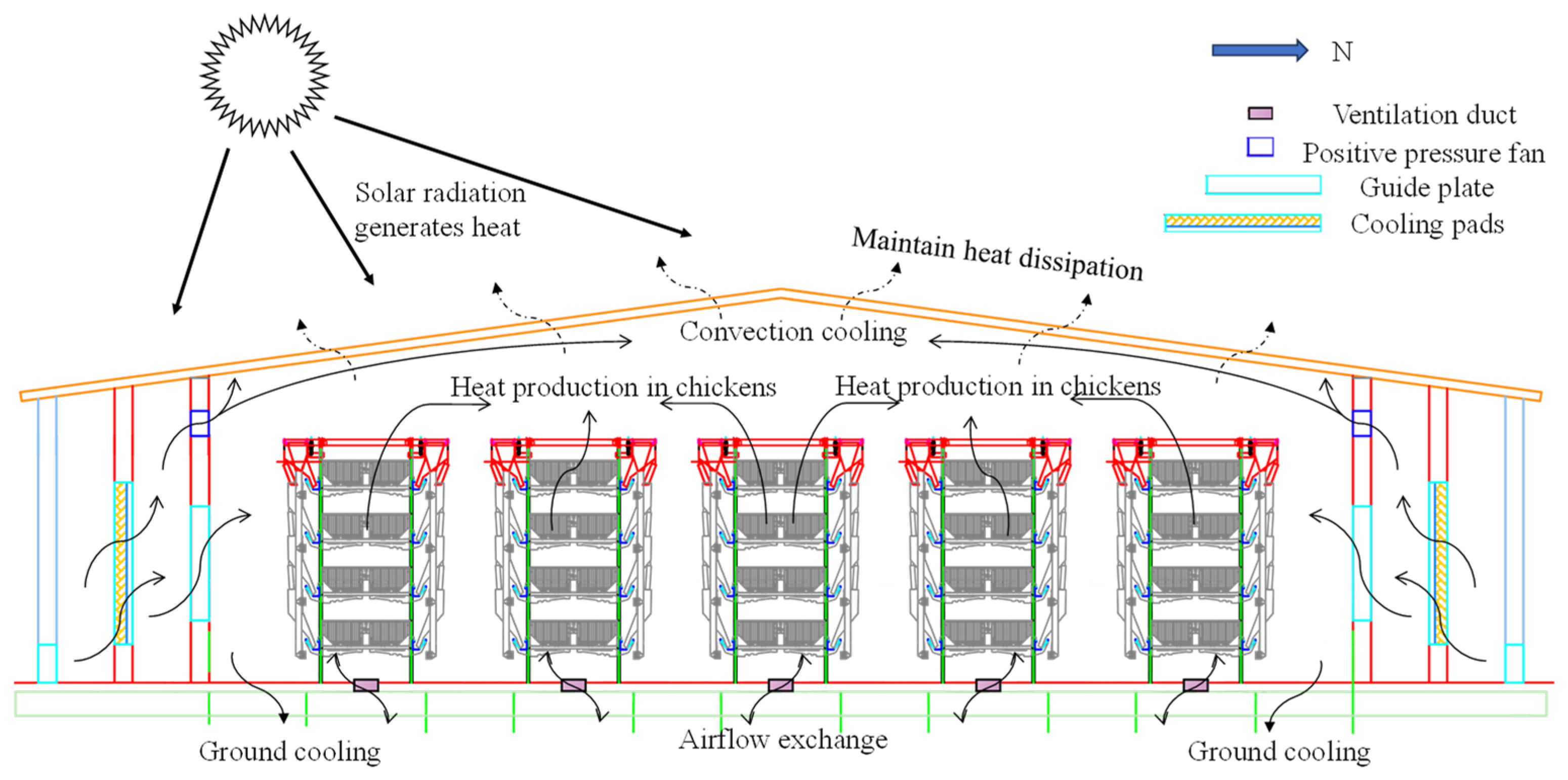 Animals 14 03055 g001