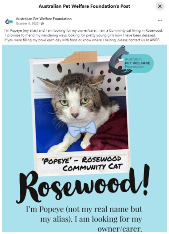 Animals 14 03058 g0a3