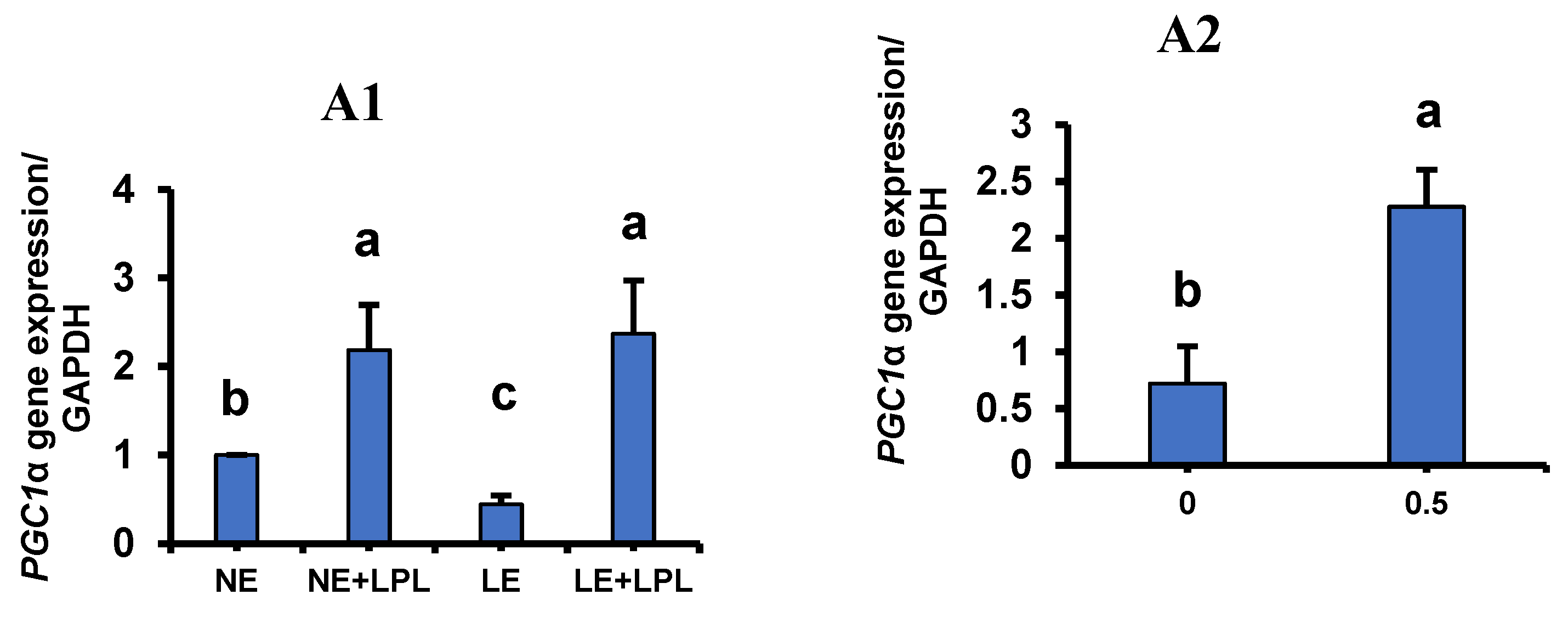 Animals 14 03066 g001a Animals 14 03066 g001a