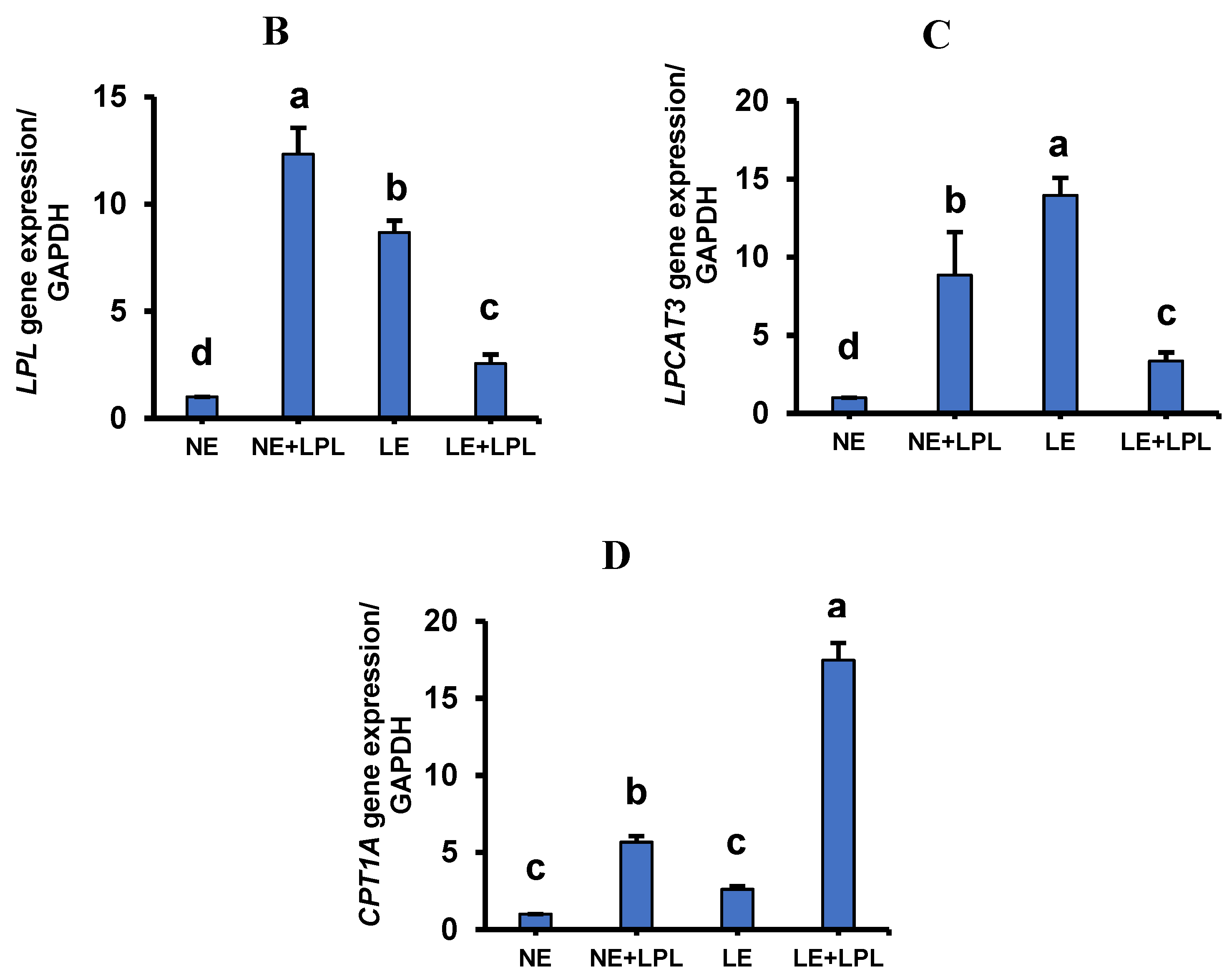Animals 14 03066 g001b Animals 14 03066 g001b
