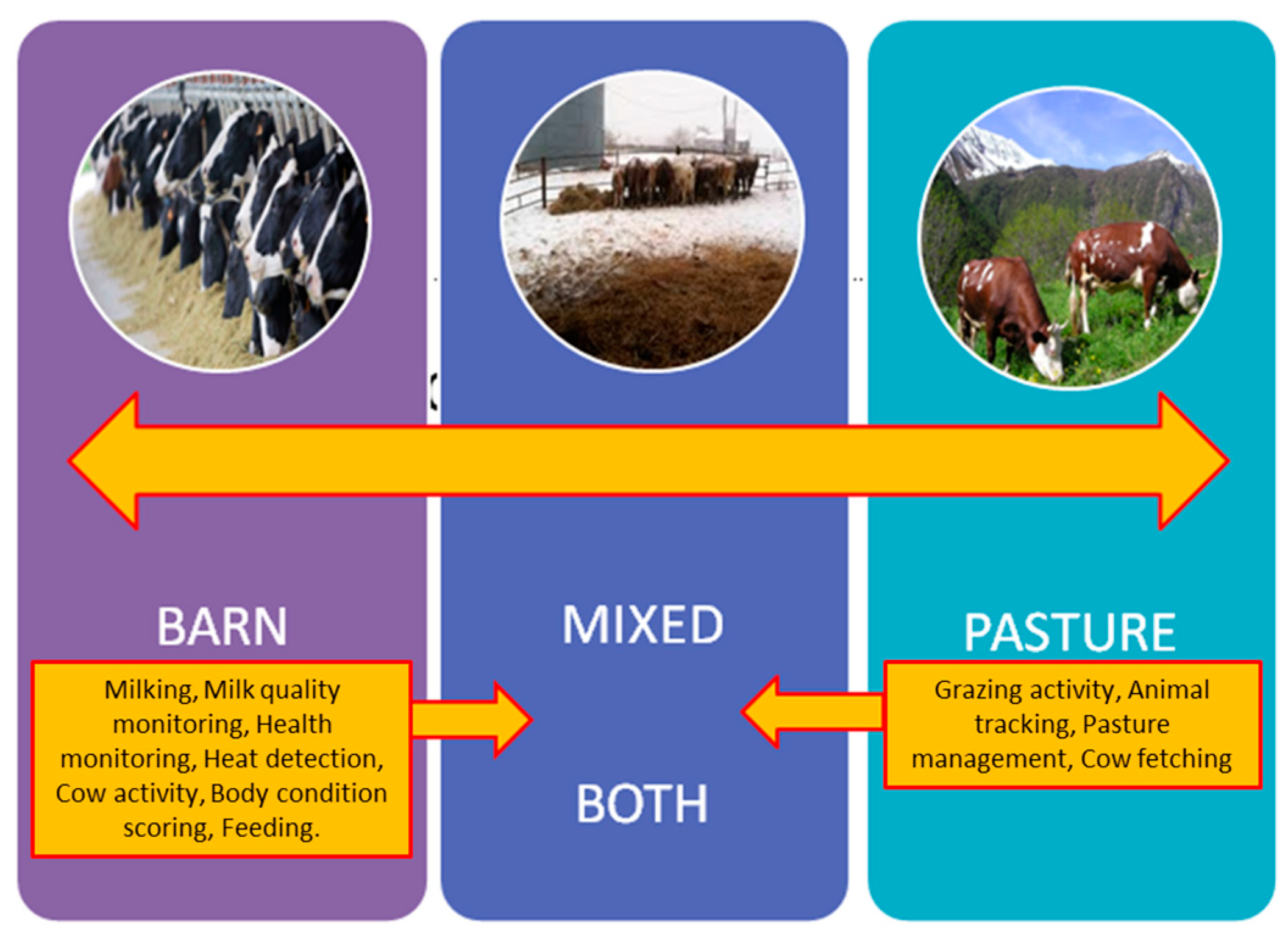 Animals 14 03071 g003