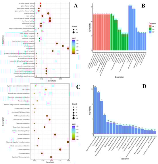 Animals 14 03077 g0a3