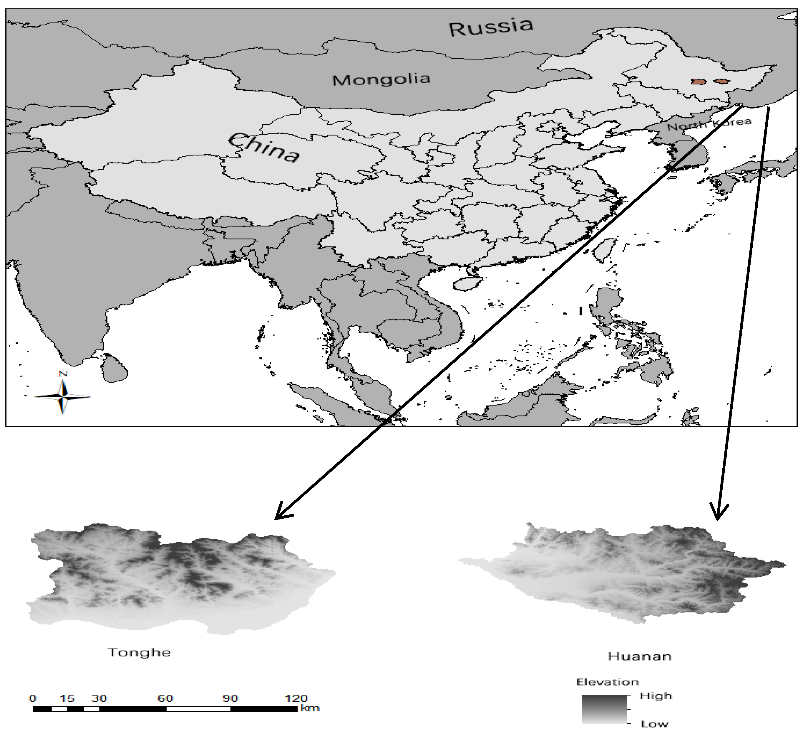 Animals 14 03079 g001