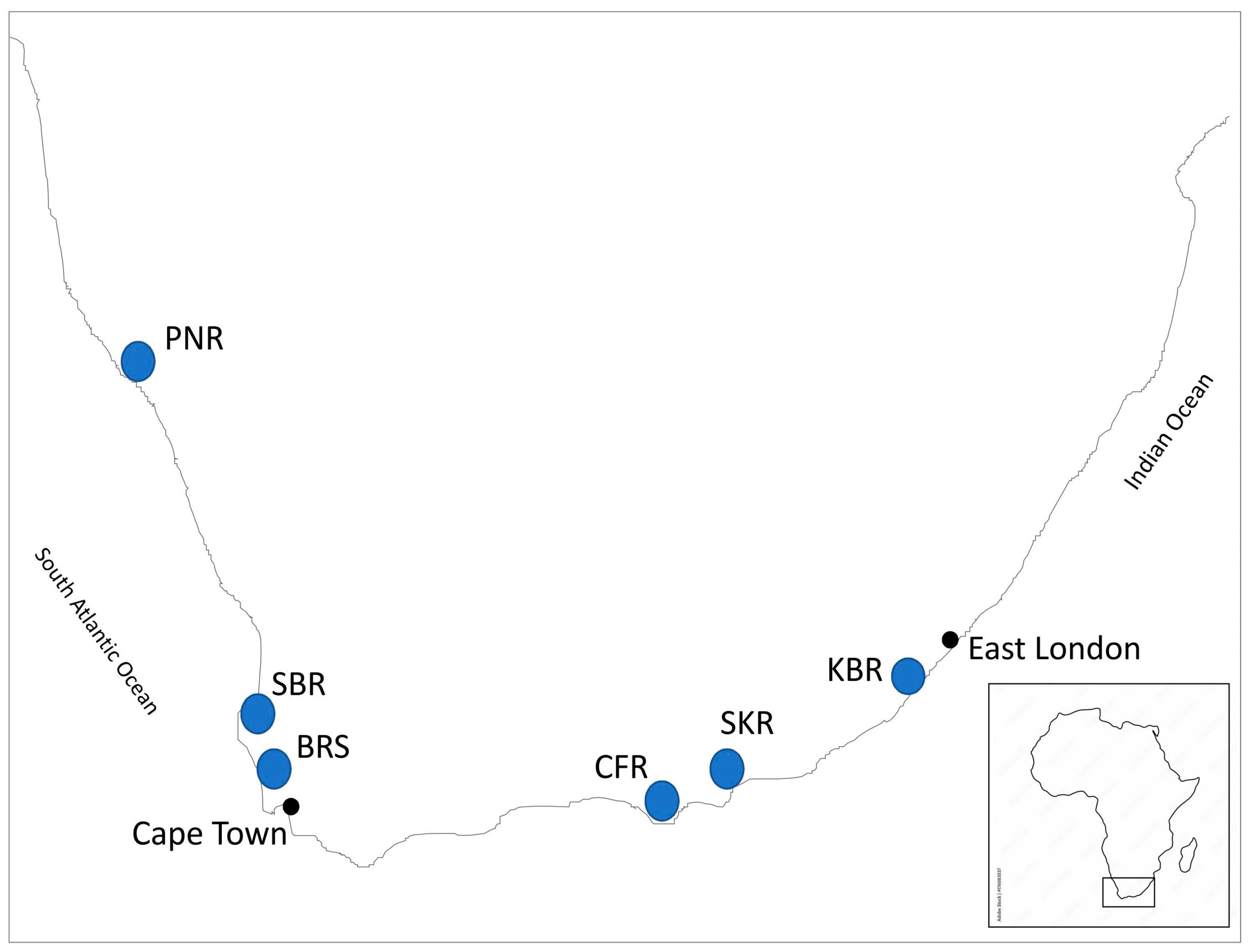Animals 14 03080 g001