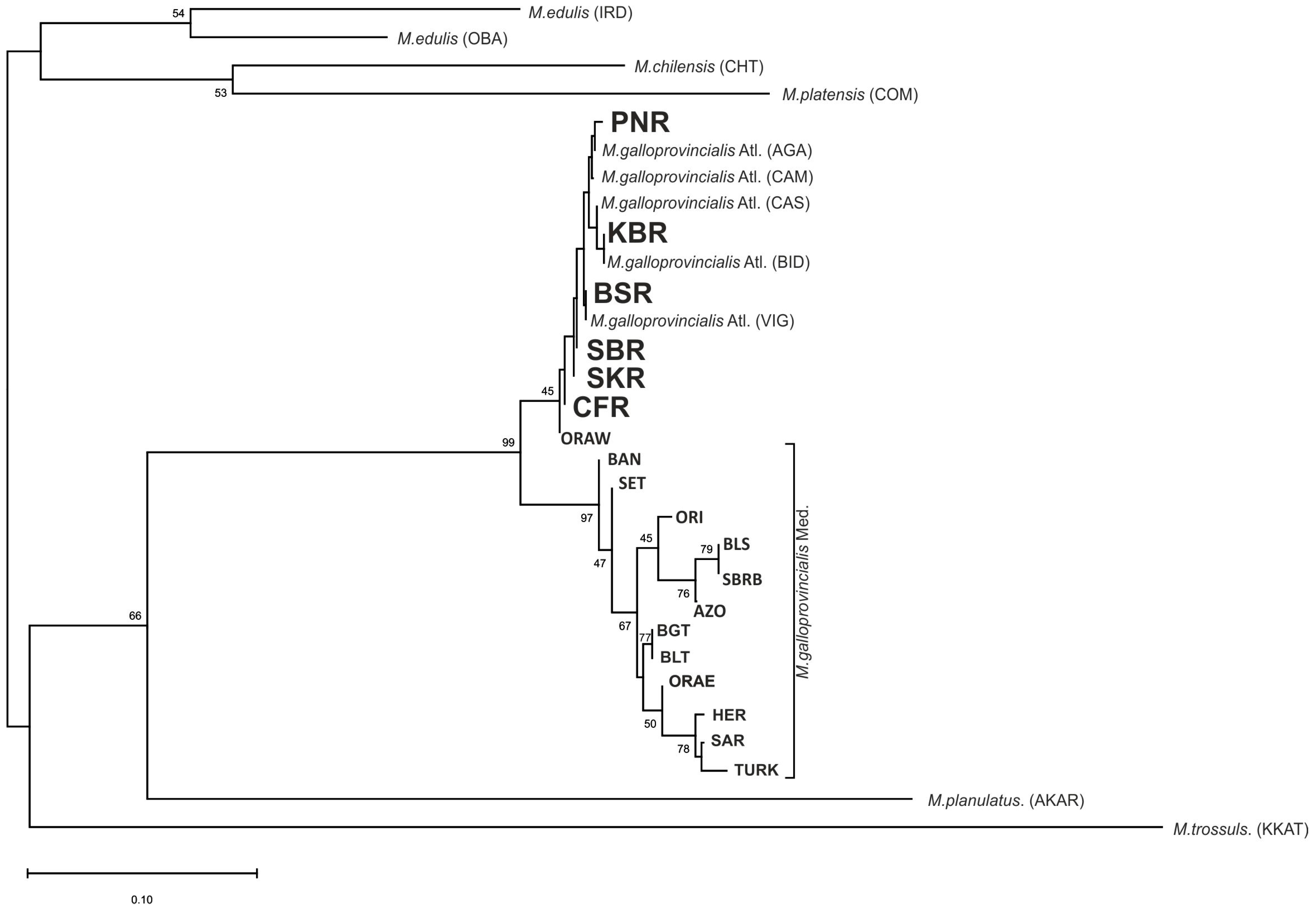 Animals 14 03080 g002