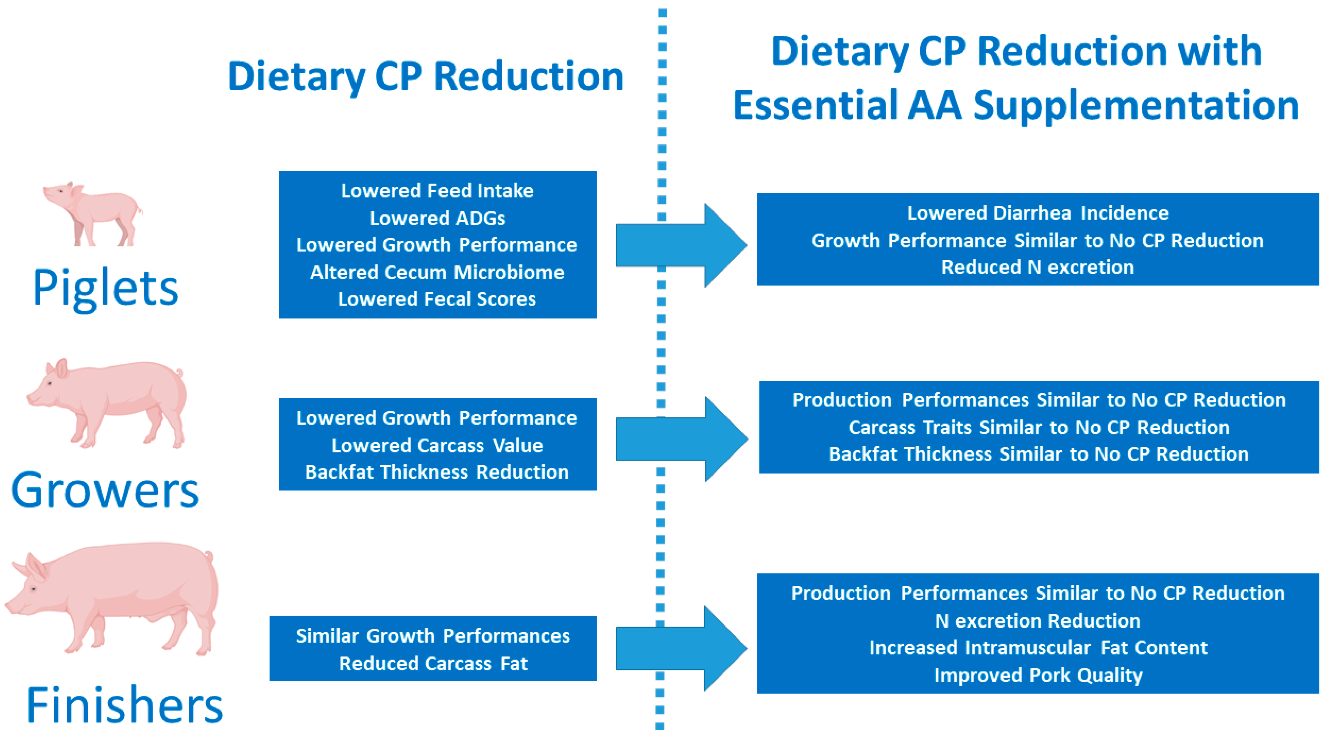 Animals 14 03081 g001