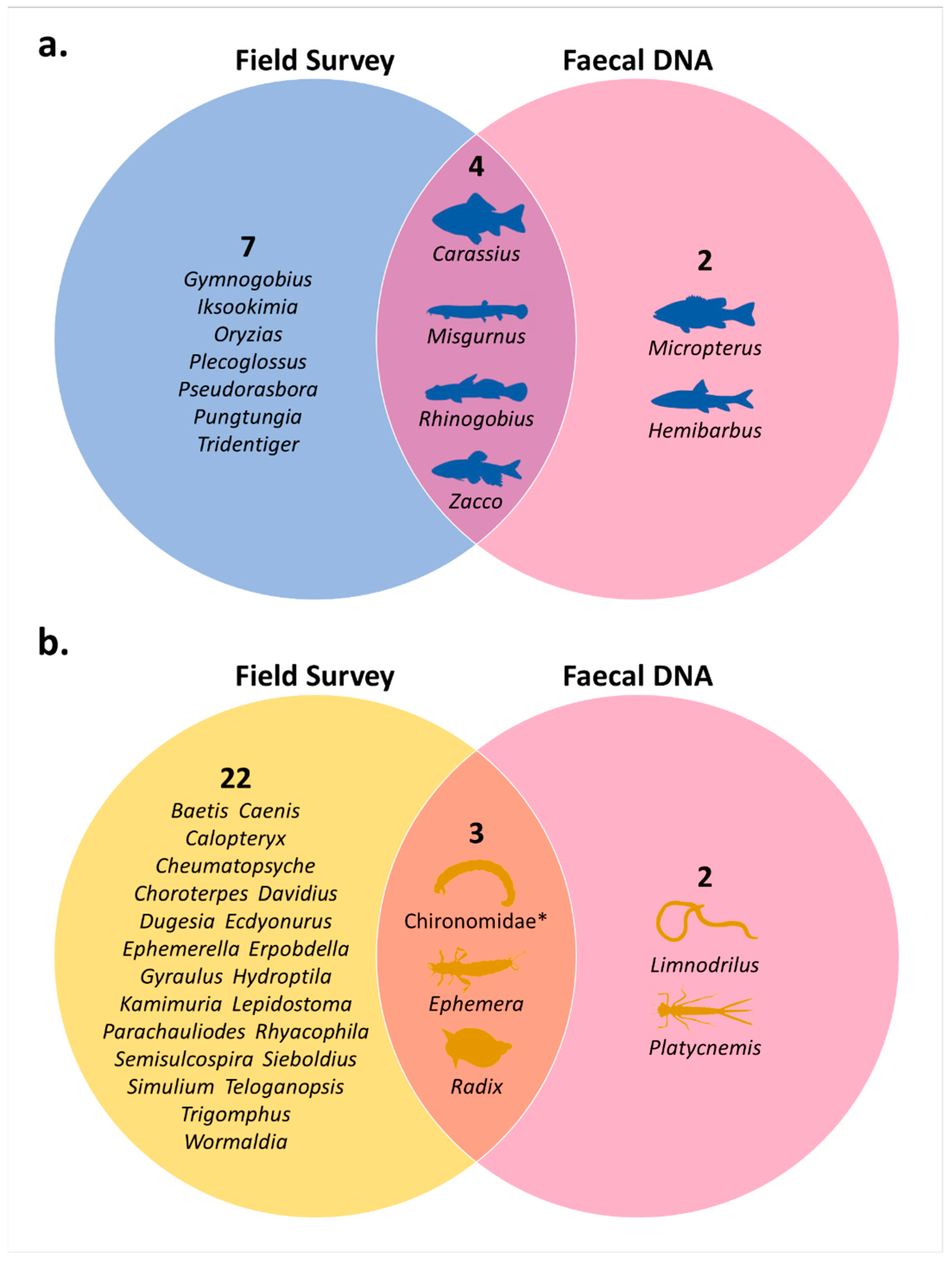 Animals 14 03083 g006