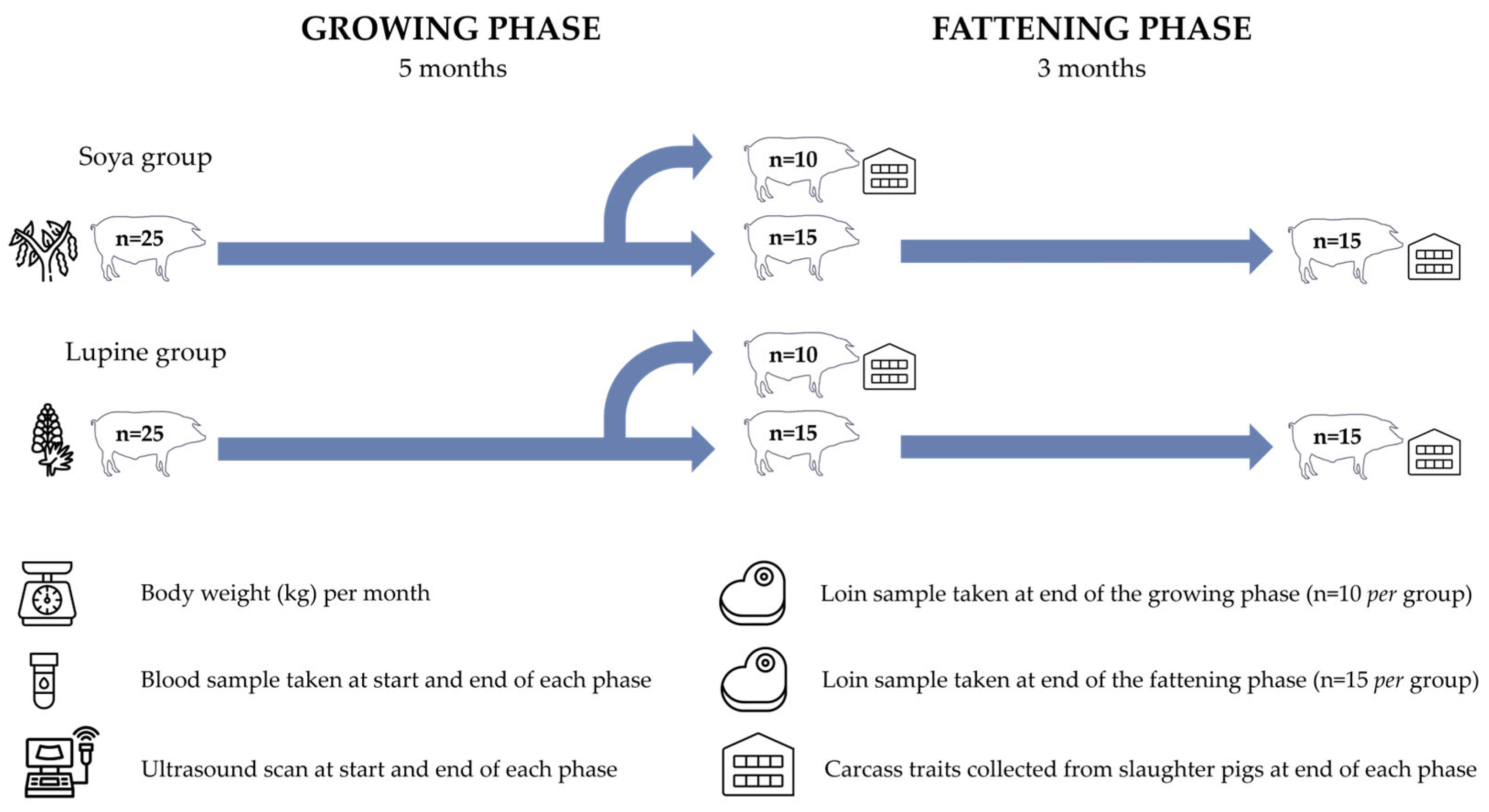 Animals 14 03084 g001