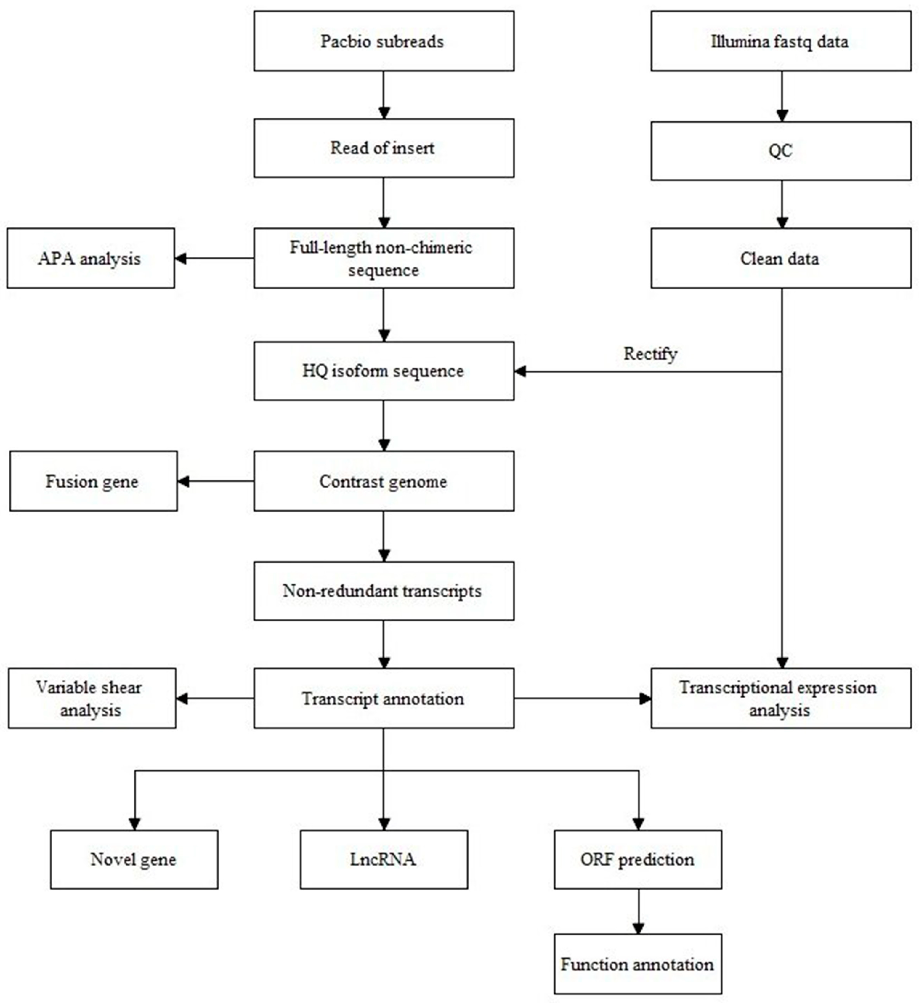 Animals 14 03085 g001