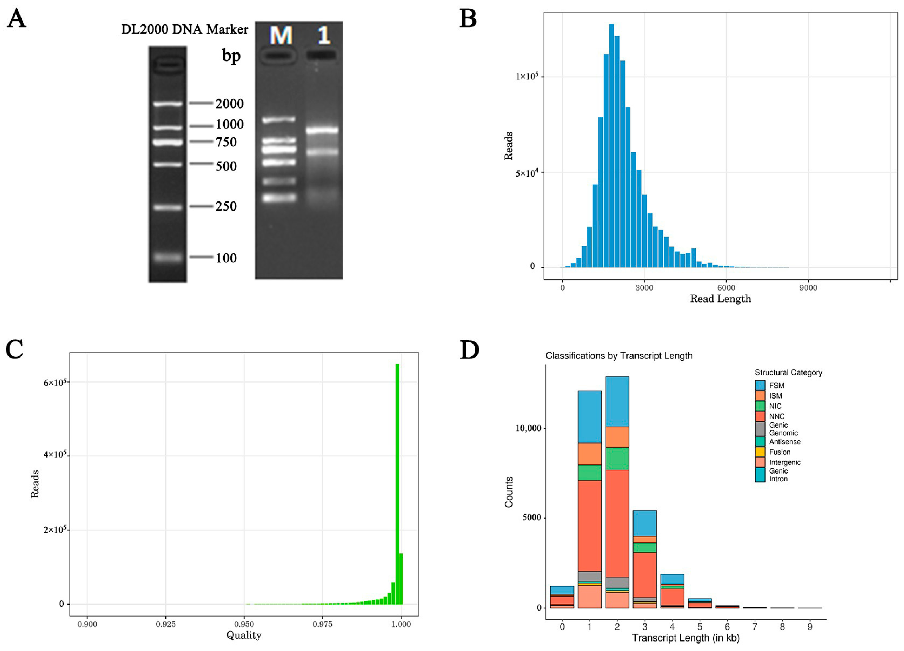 Animals 14 03085 g003