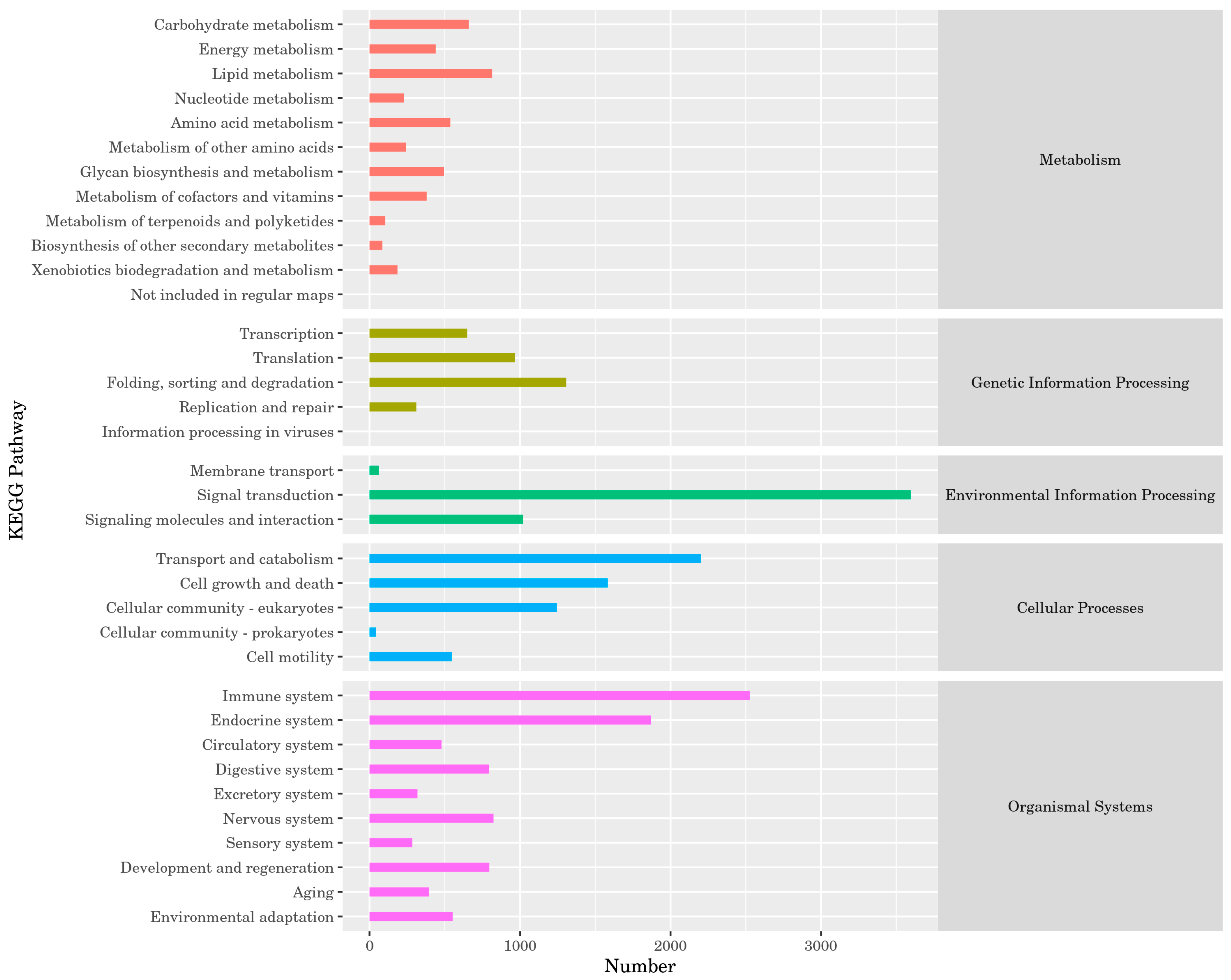 Animals 14 03085 g005
