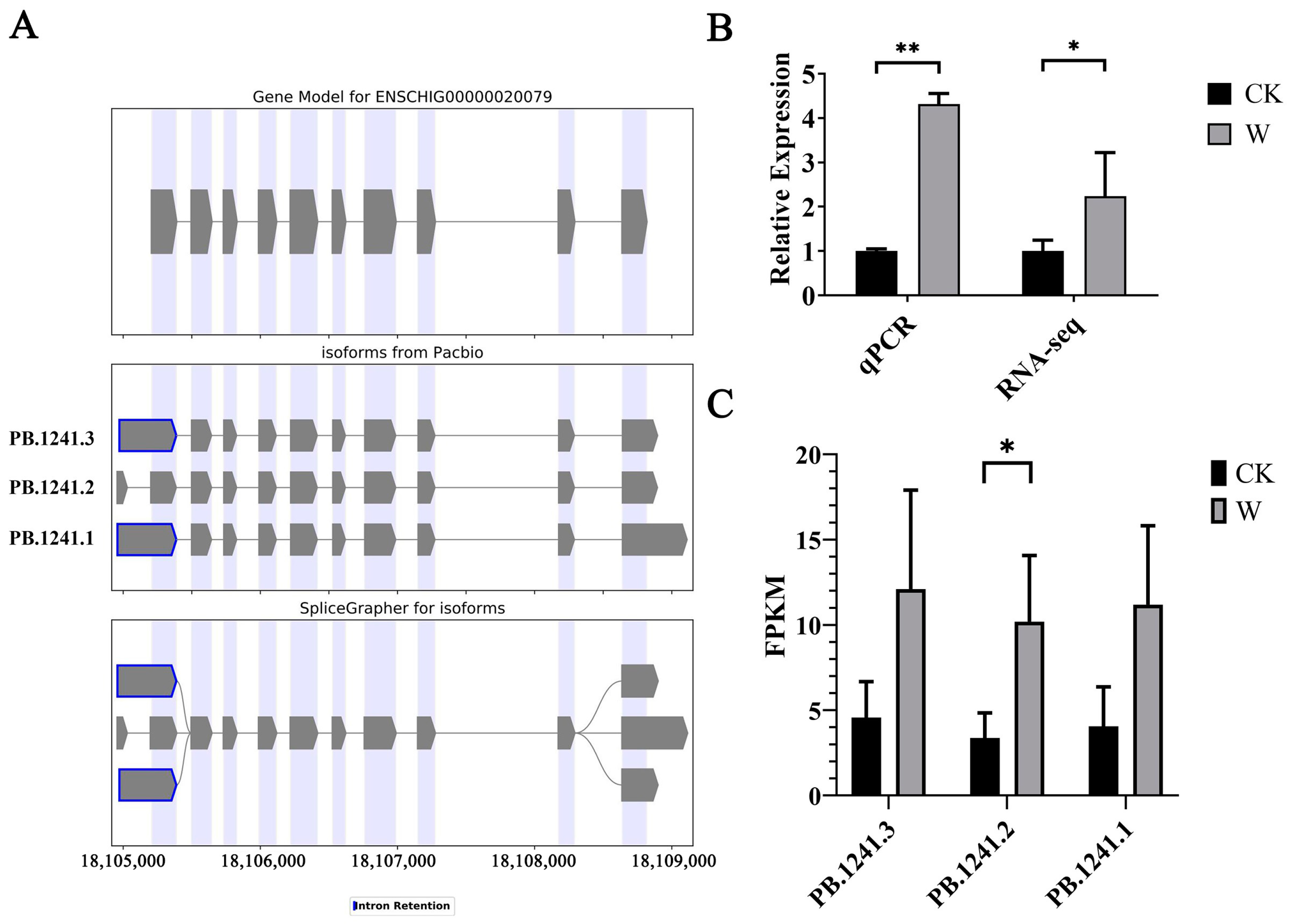 Animals 14 03085 g008