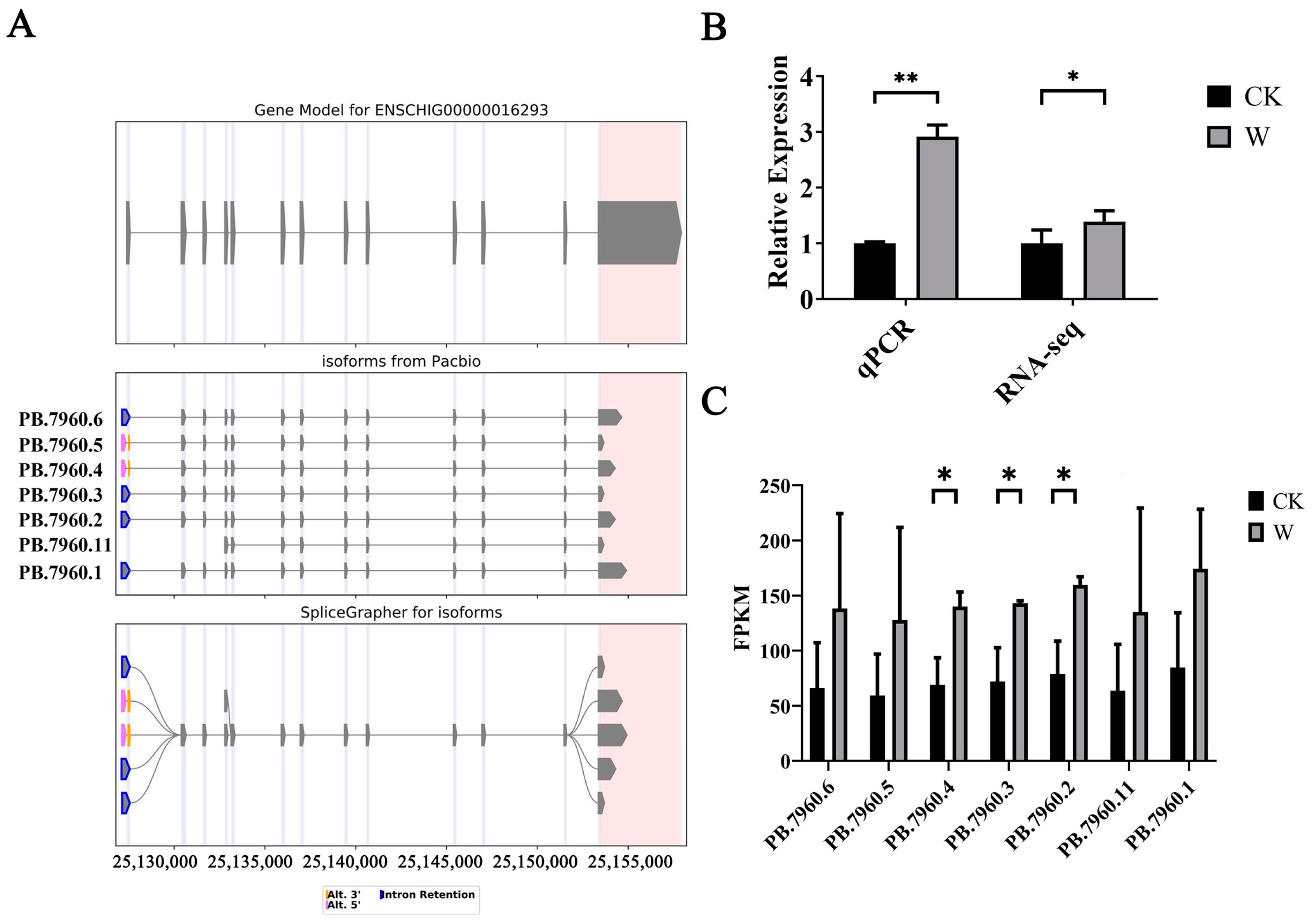 Animals 14 03085 g009