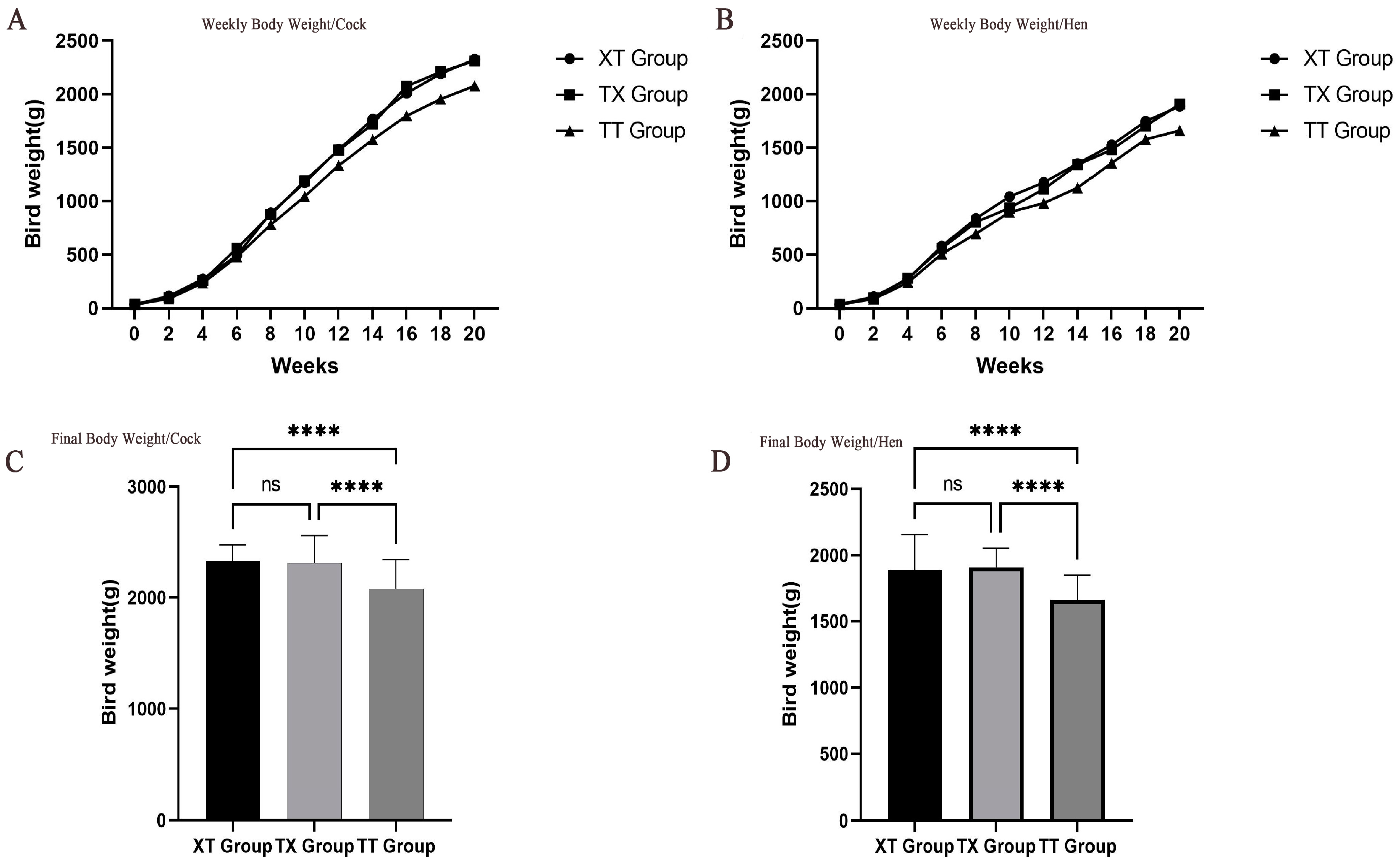 Animals 14 03099 g001