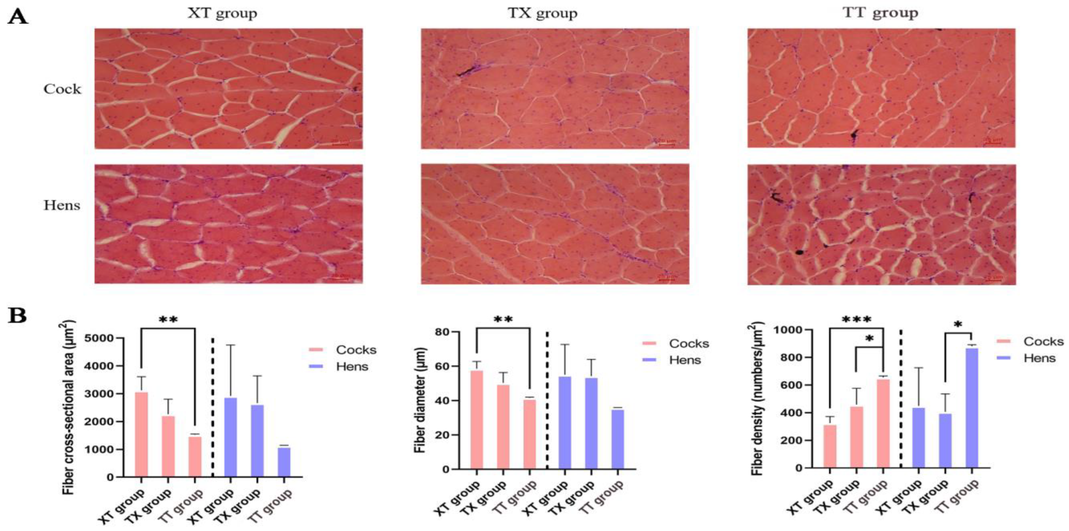 Animals 14 03099 g002