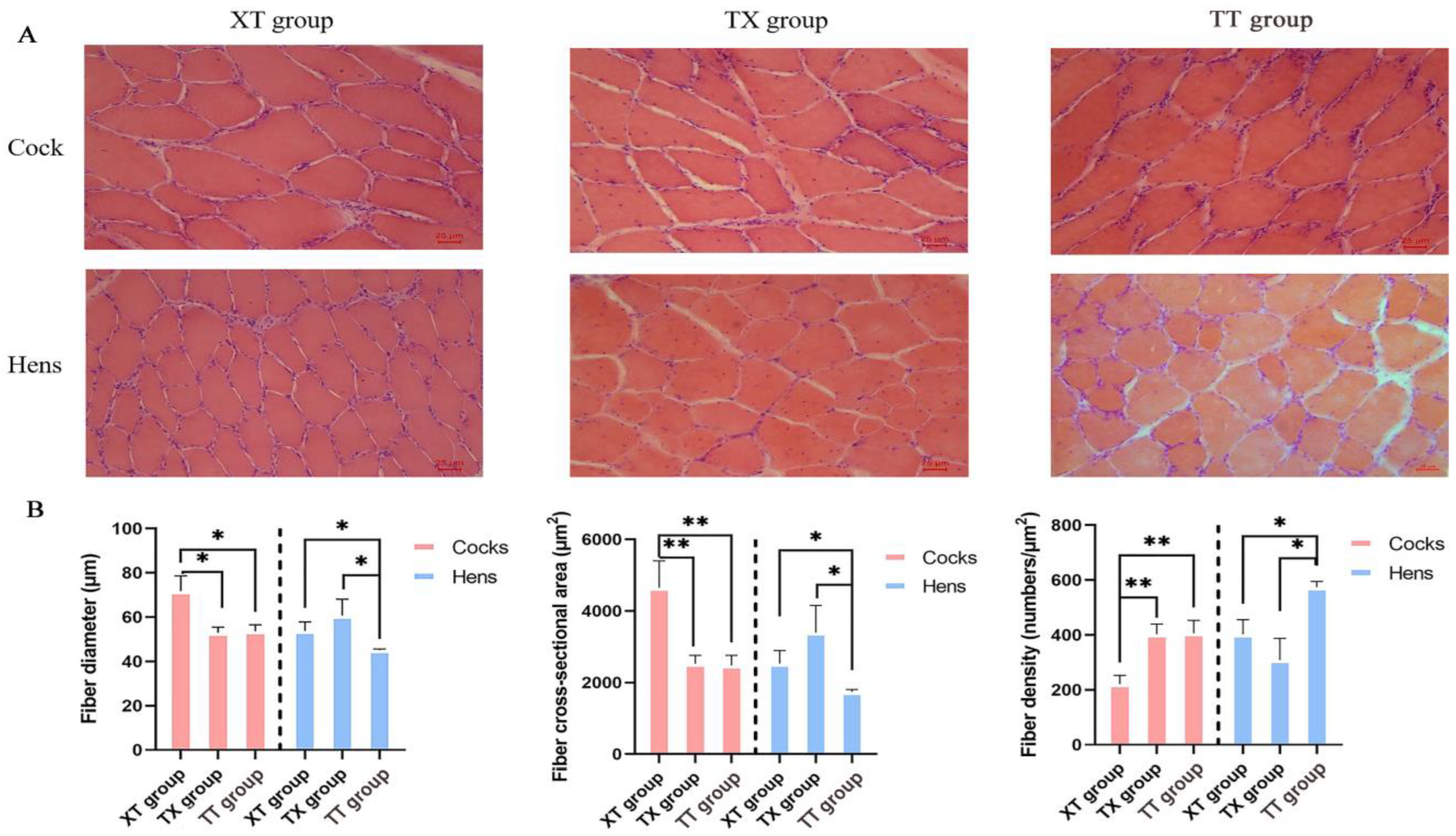 Animals 14 03099 g003