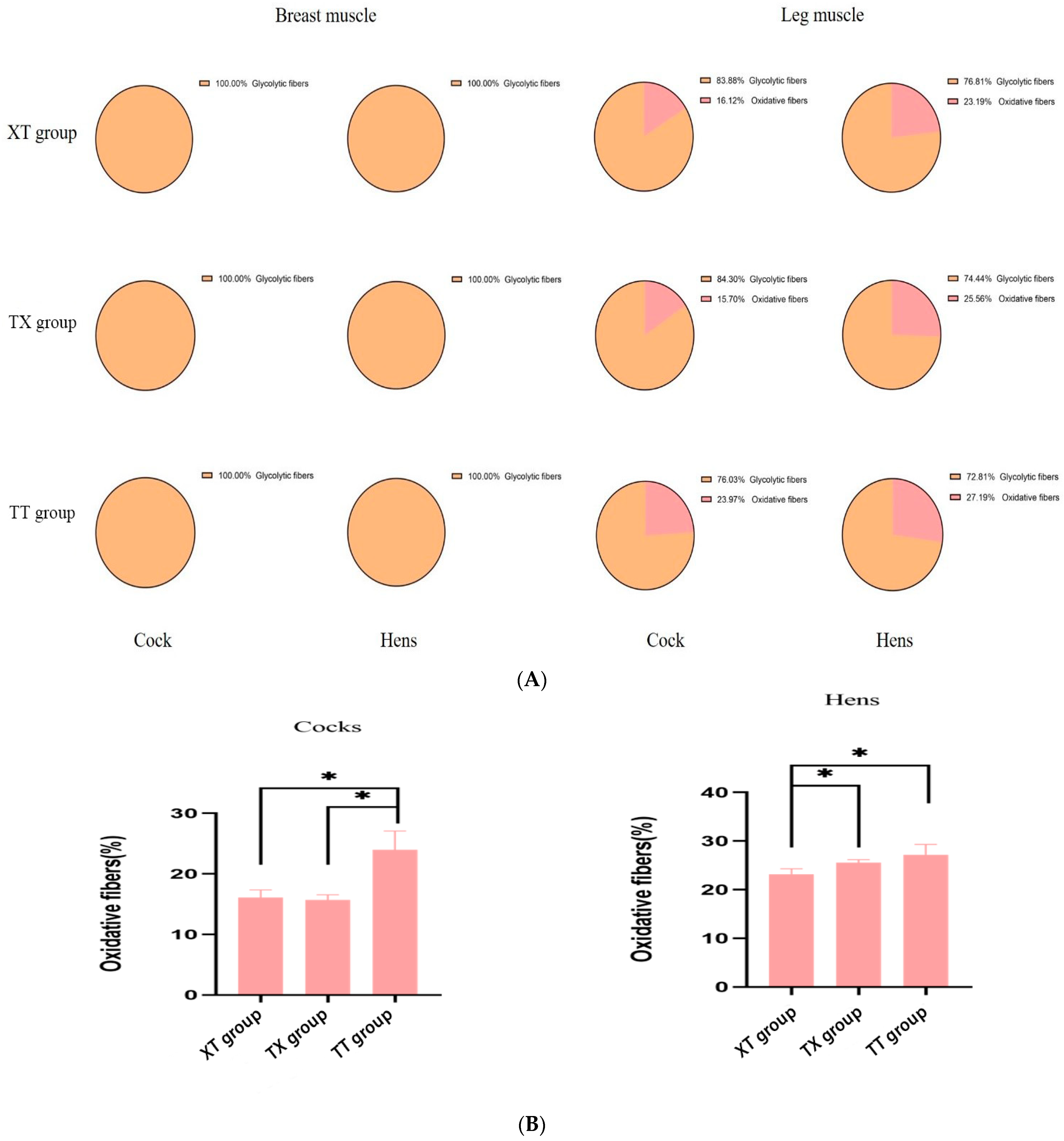 Animals 14 03099 g005