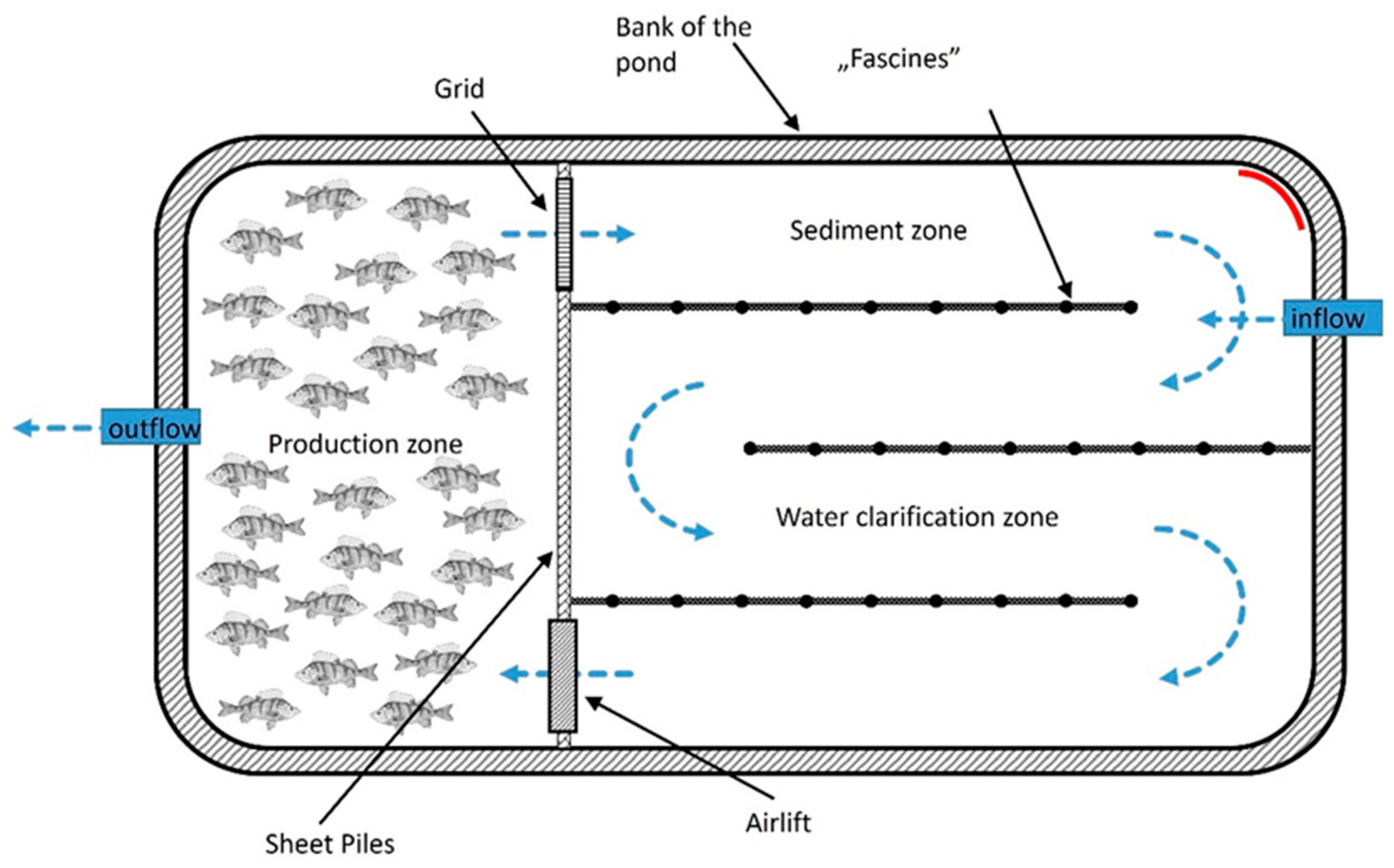 Animals 14 03100 g001