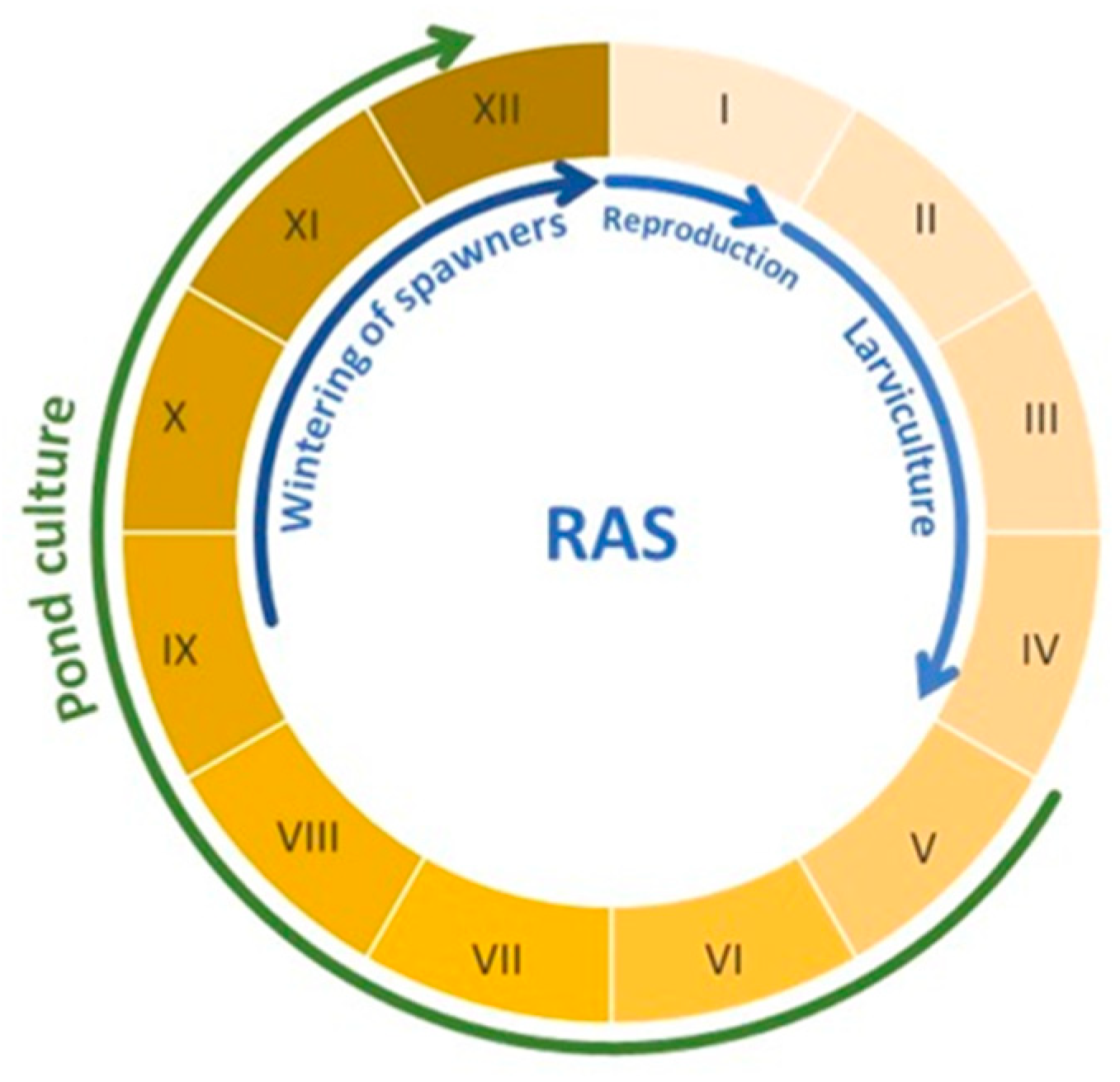 Animals 14 03100 g002