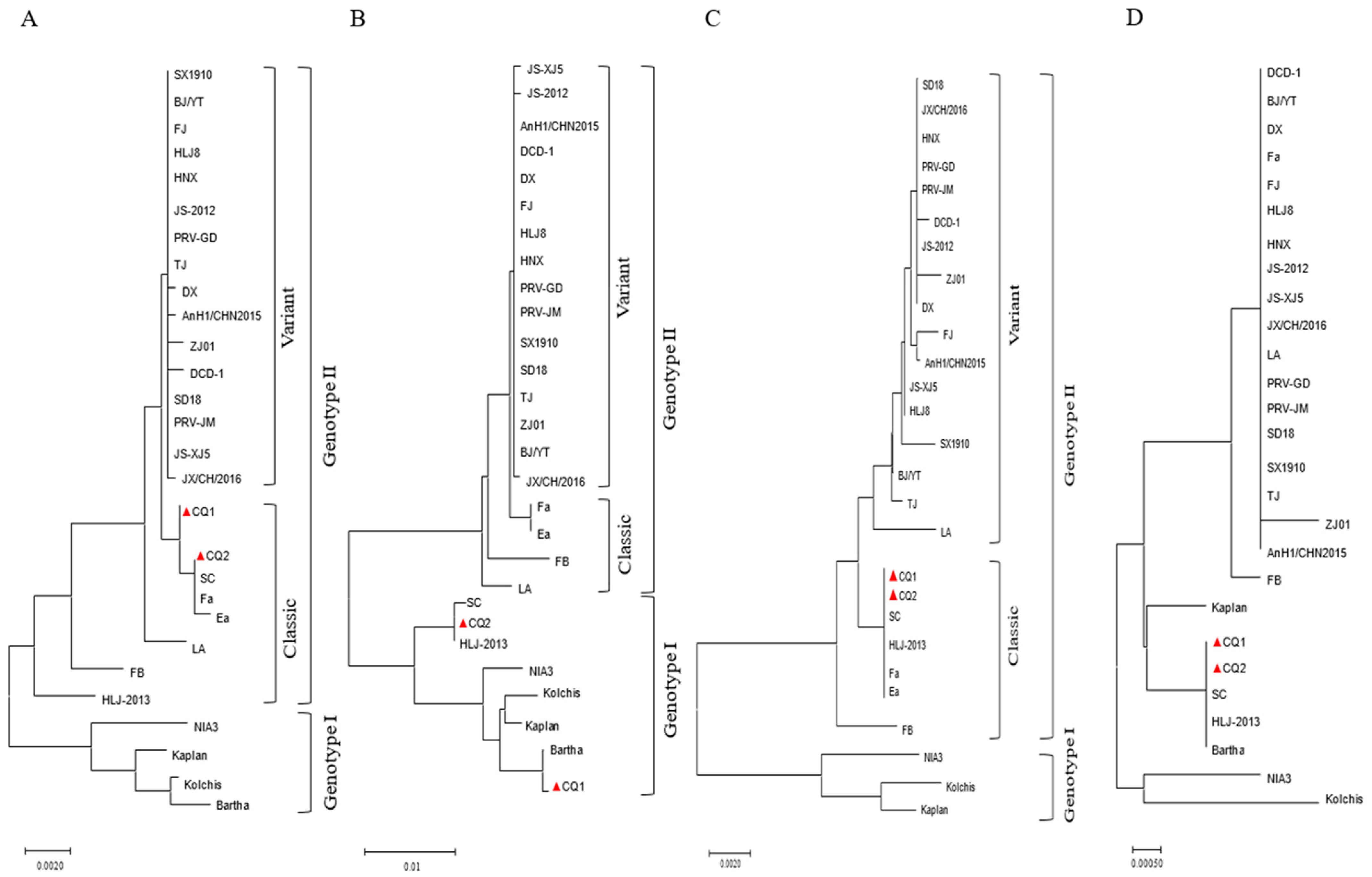 Animals 14 03103 g003