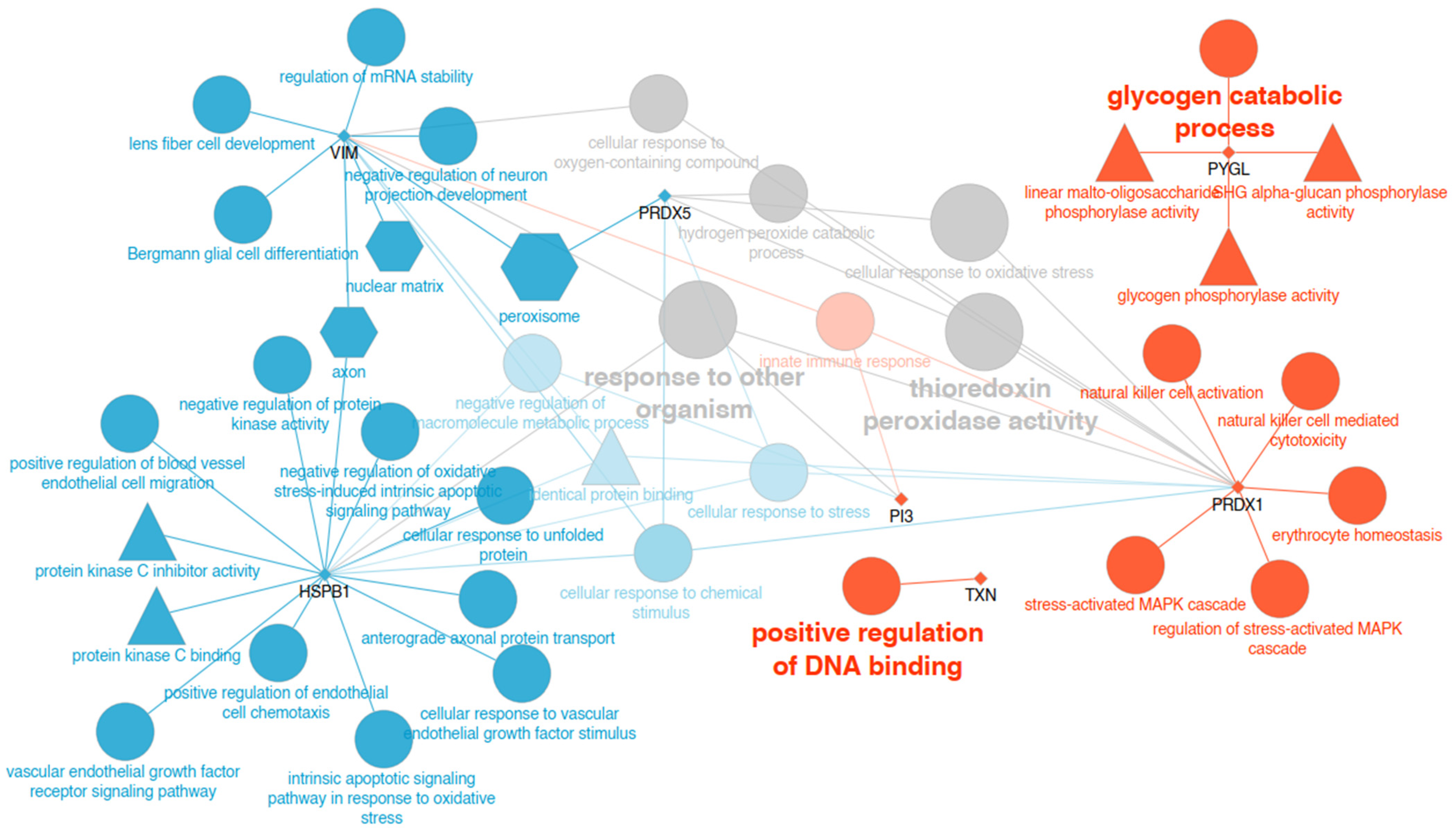 Animals 14 03105 g002