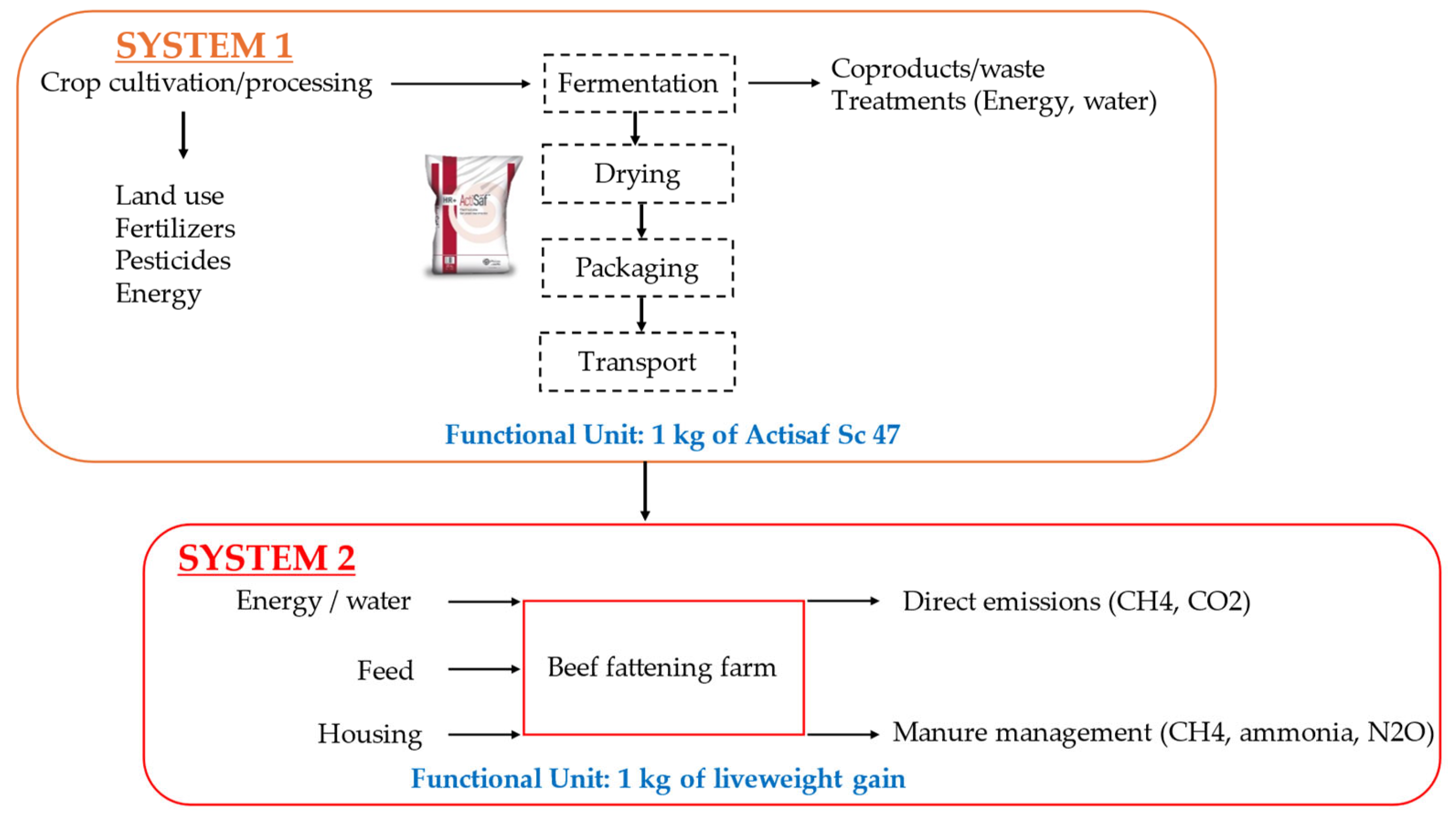 Animals 14 03107 g002