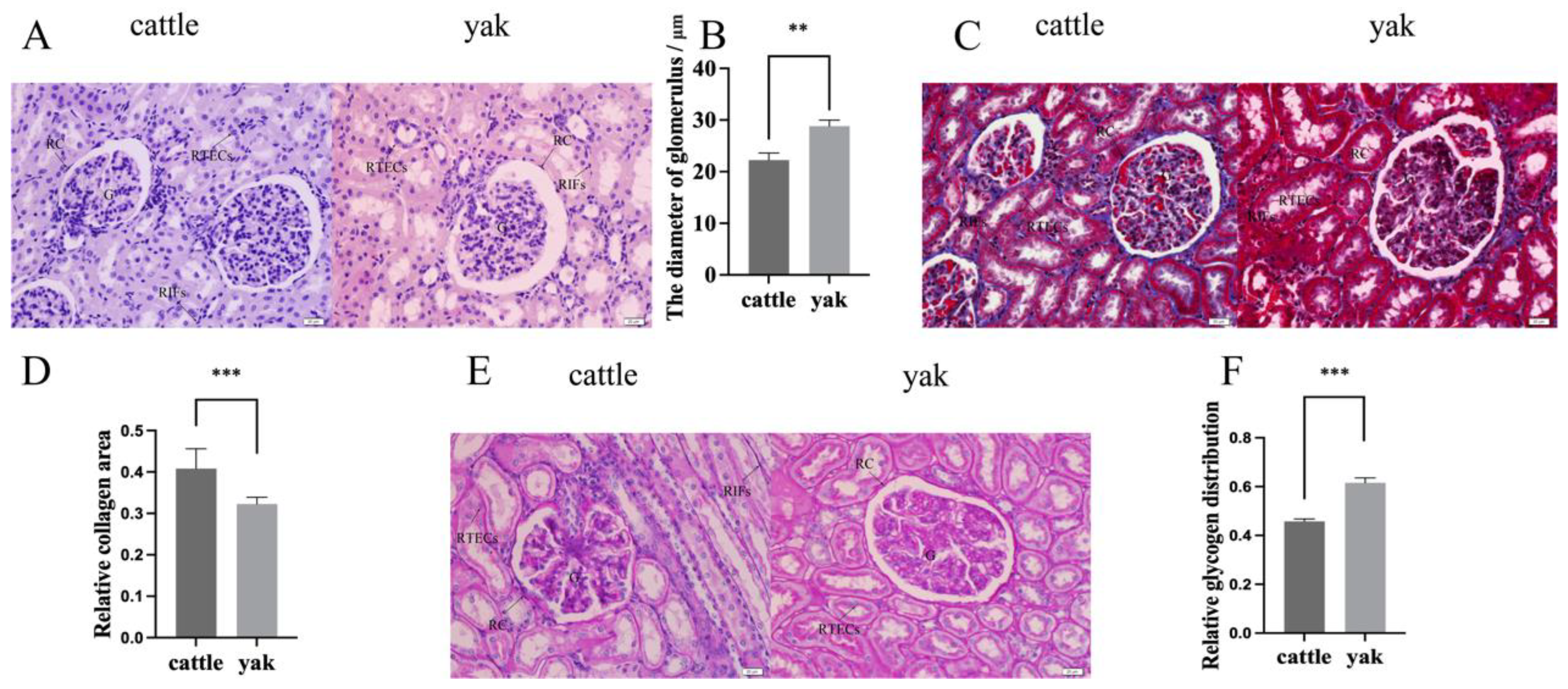 Animals 14 03110 g001