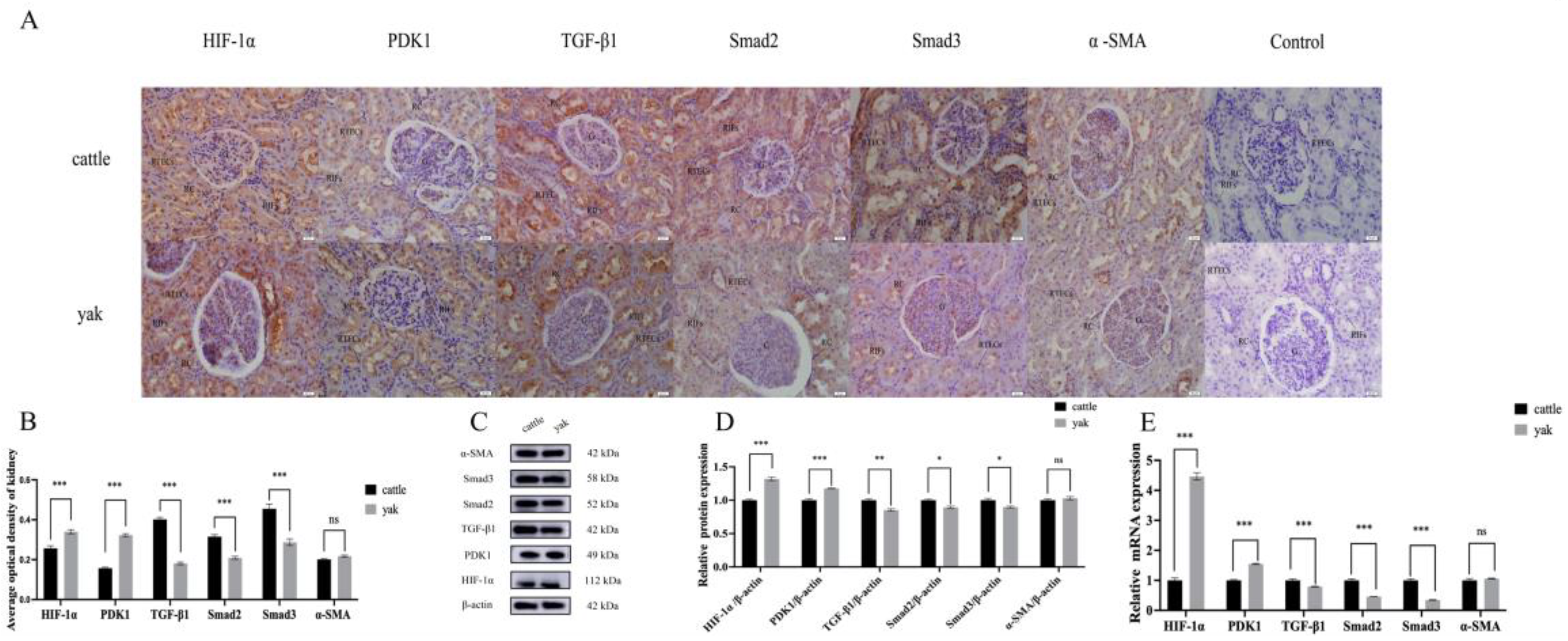 Animals 14 03110 g002