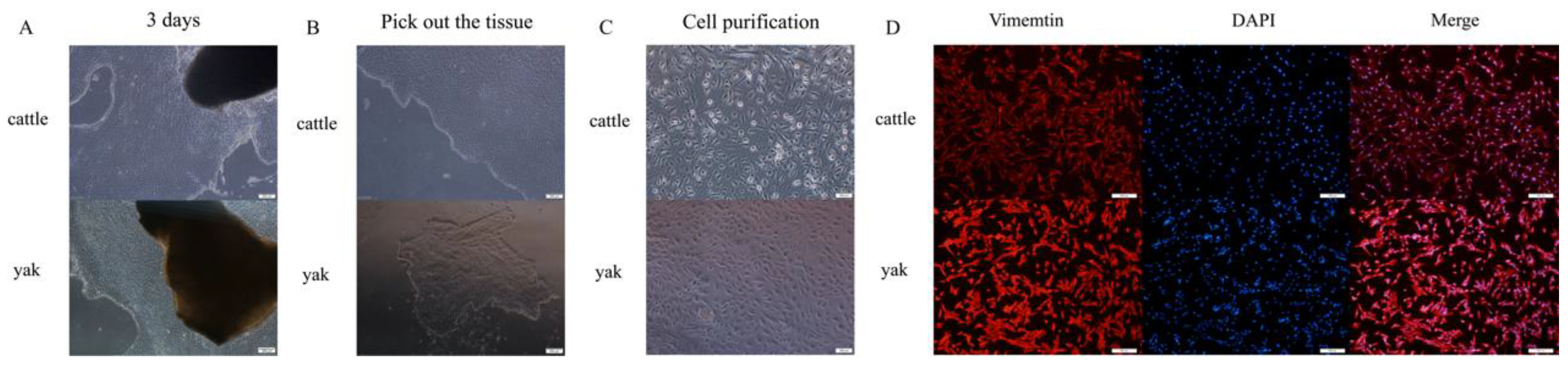 Animals 14 03110 g003