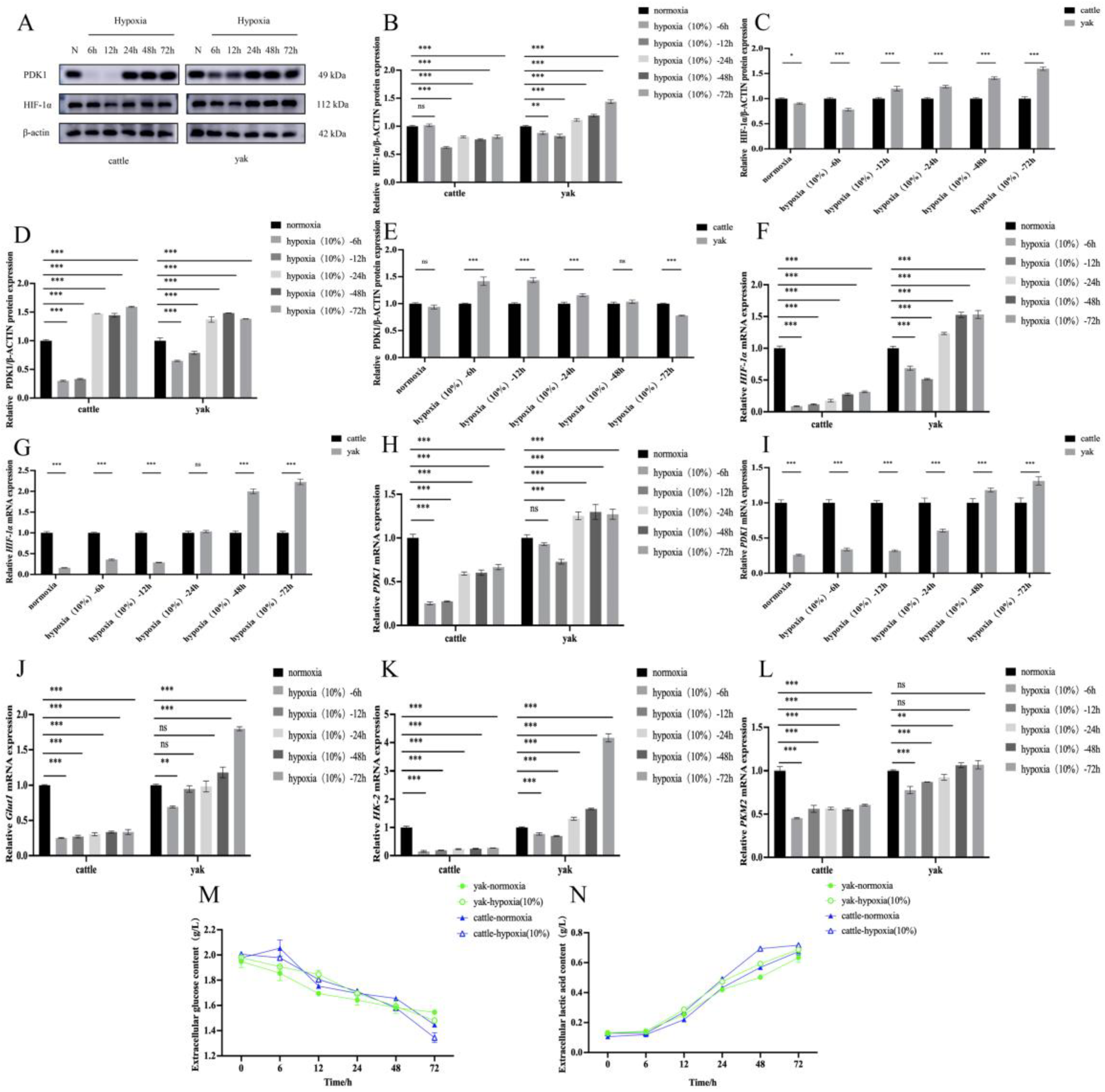 Animals 14 03110 g004