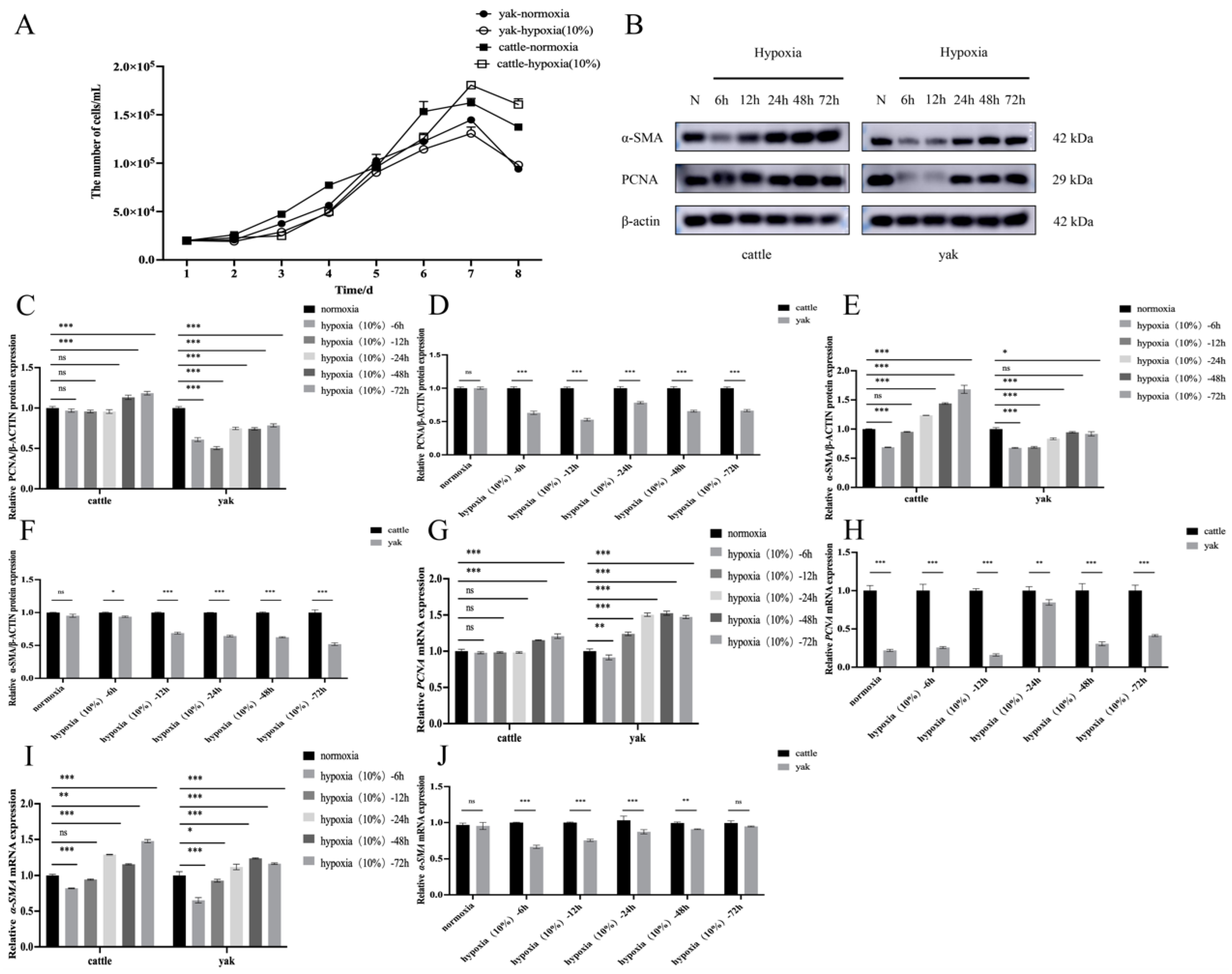 Animals 14 03110 g005
