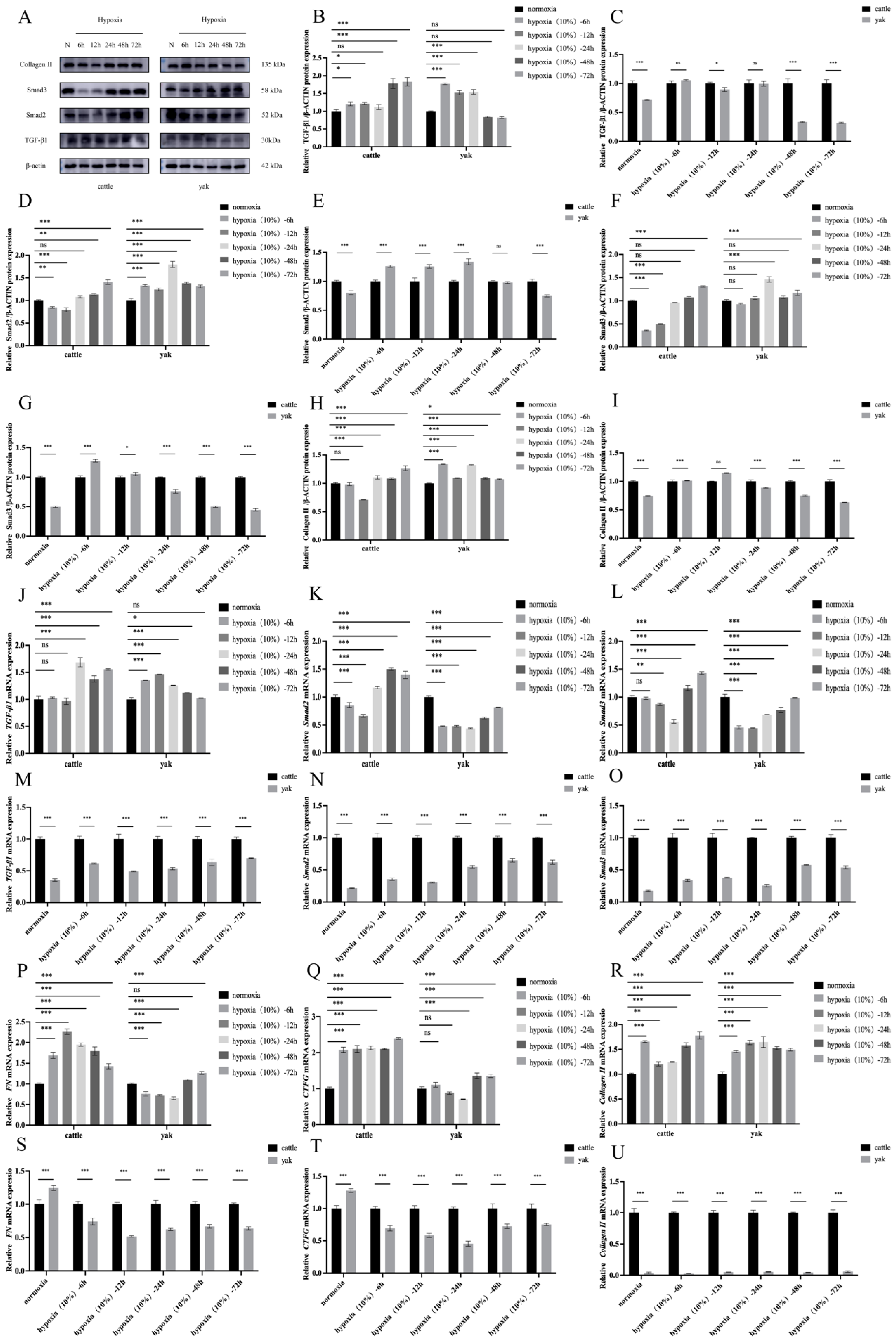 Animals 14 03110 g006