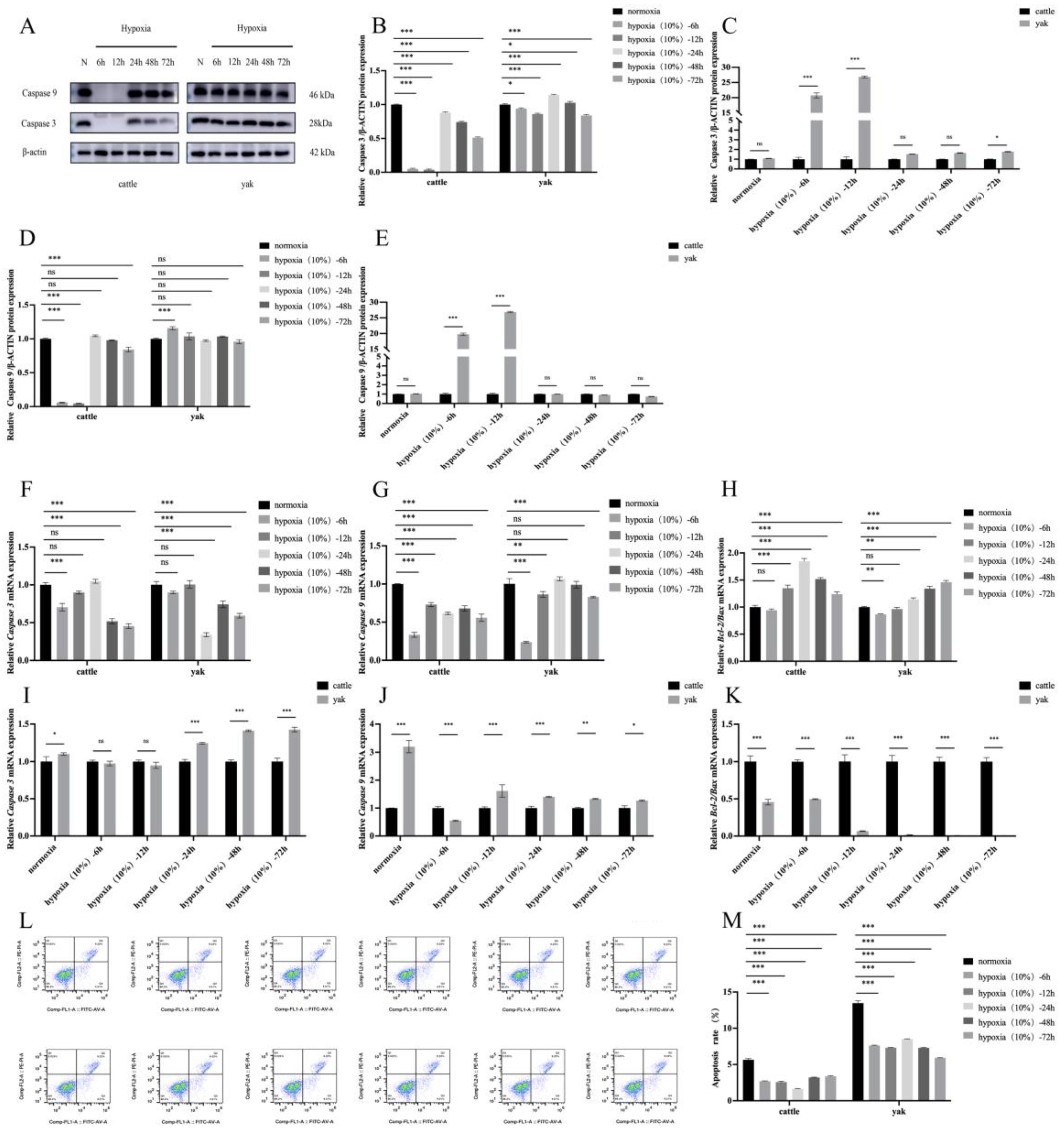 Animals 14 03110 g007