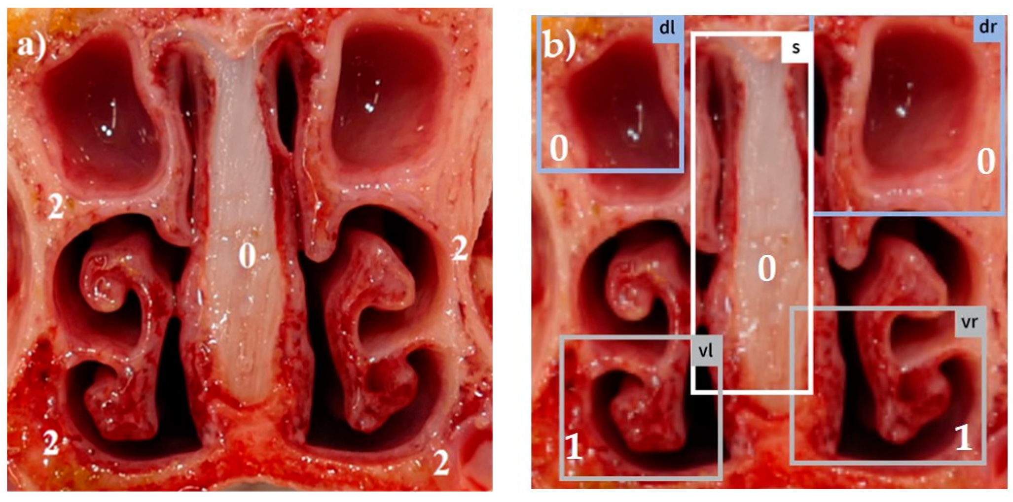 Animals 14 03113 g003 Animals 14 03113 g003