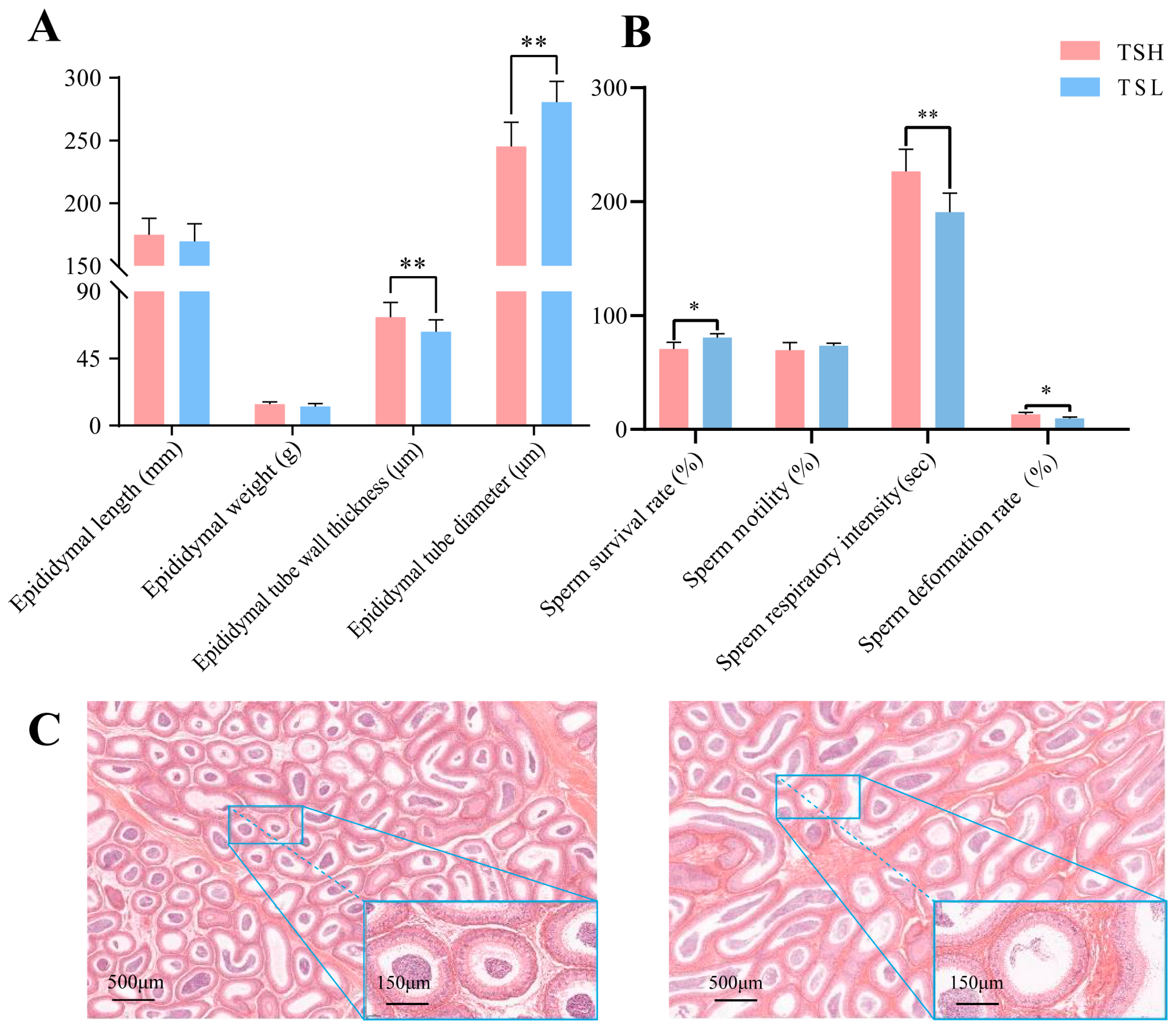 Animals 14 03117 g001