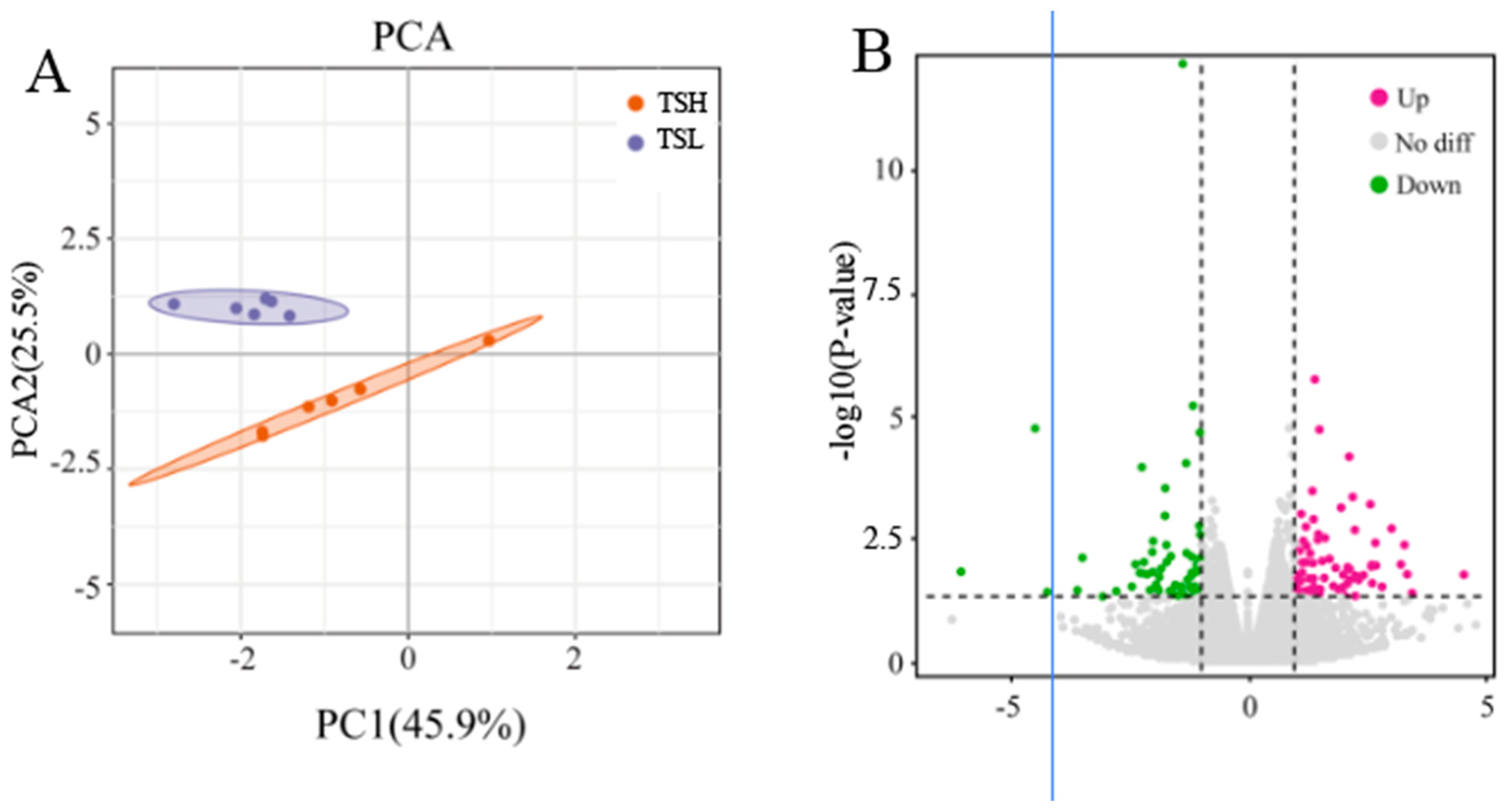 Animals 14 03117 g002